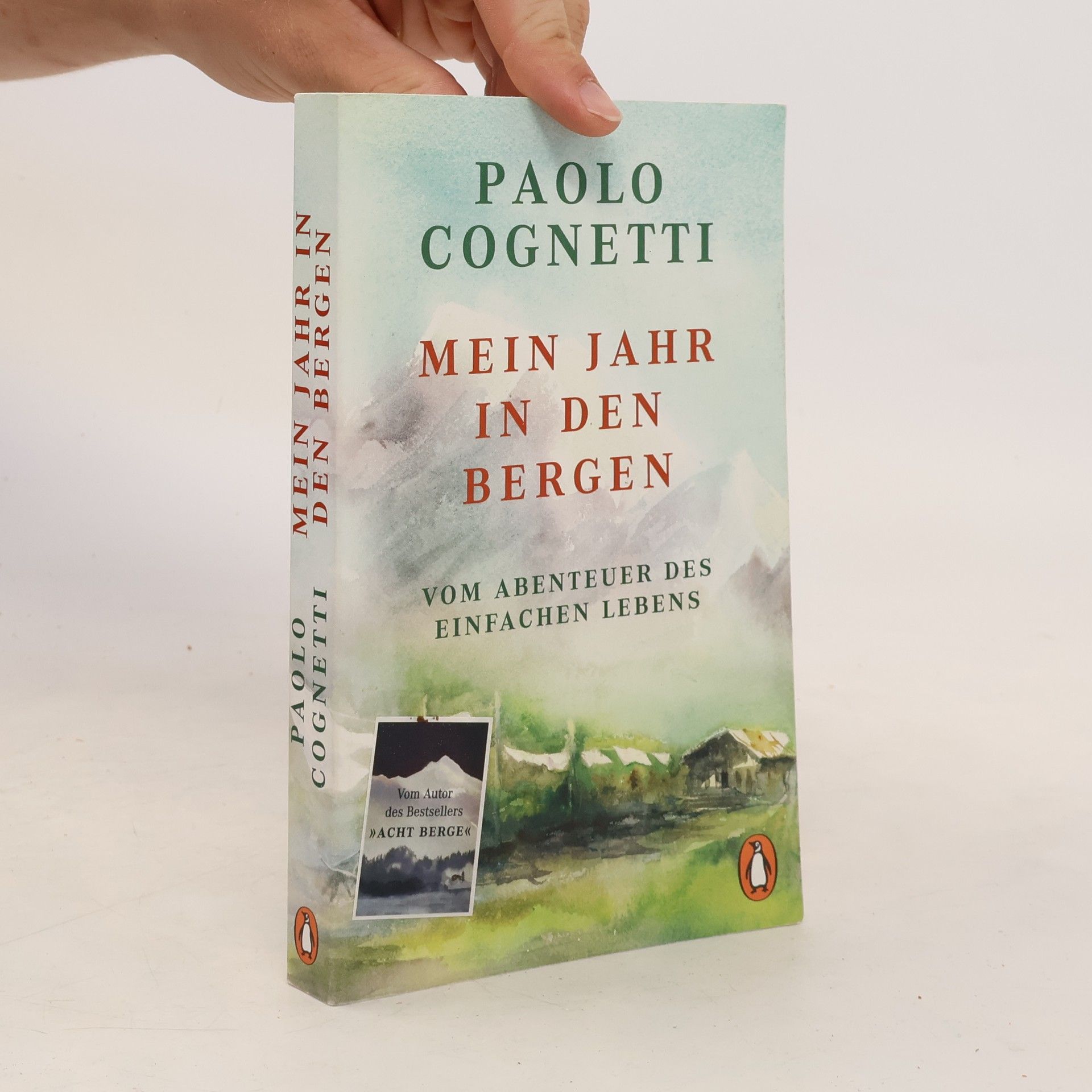 Paolo Cognetti Mein Jahr in den Bergen