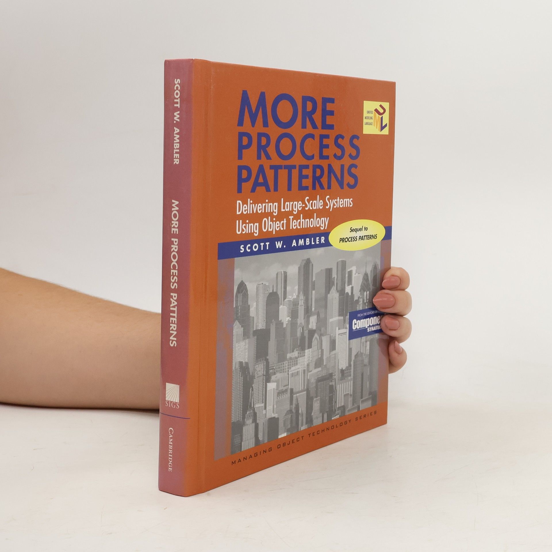 Scott W. Ambler Managing Object Technology Series: More Process Patterns