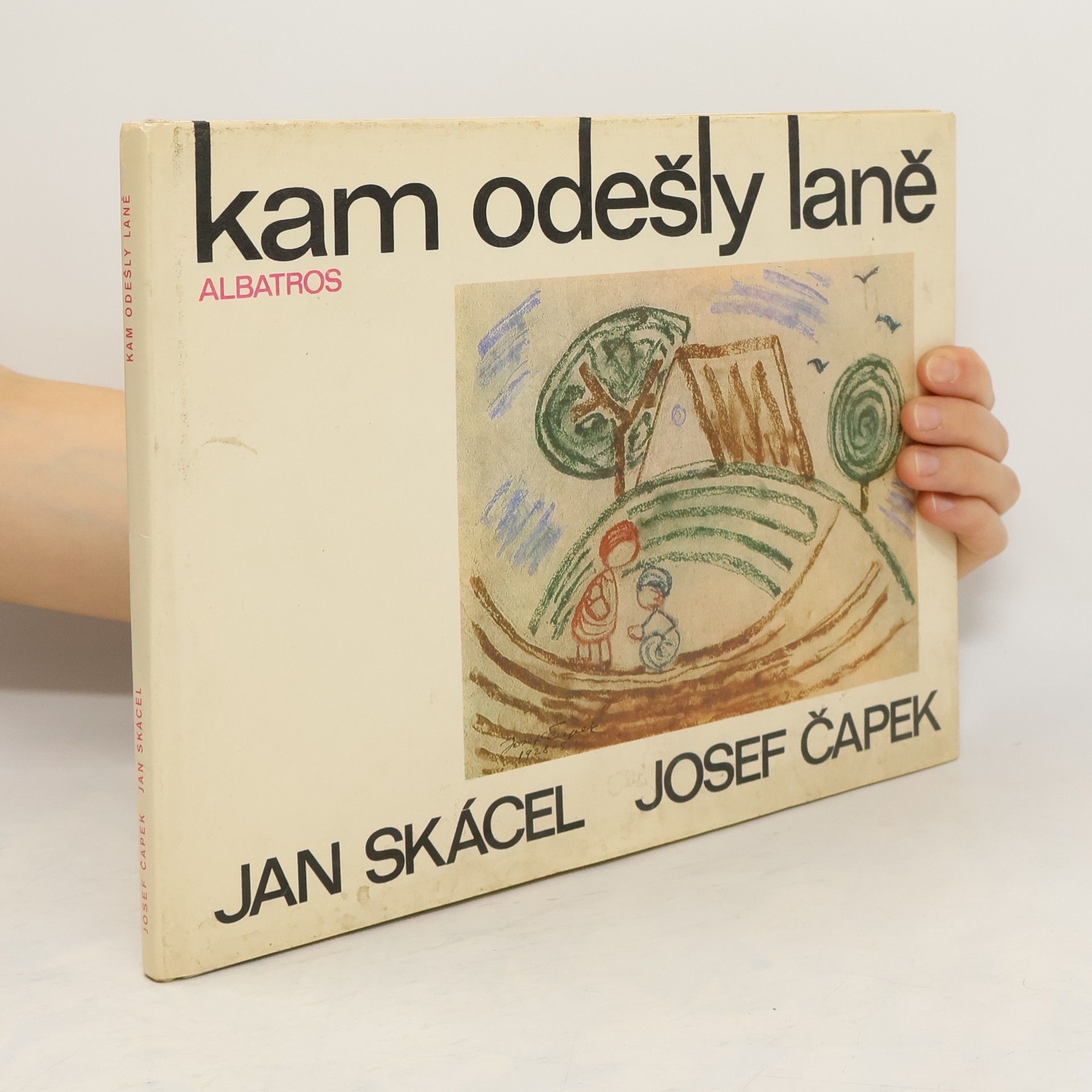 Jan Skácel Kam odešly laně