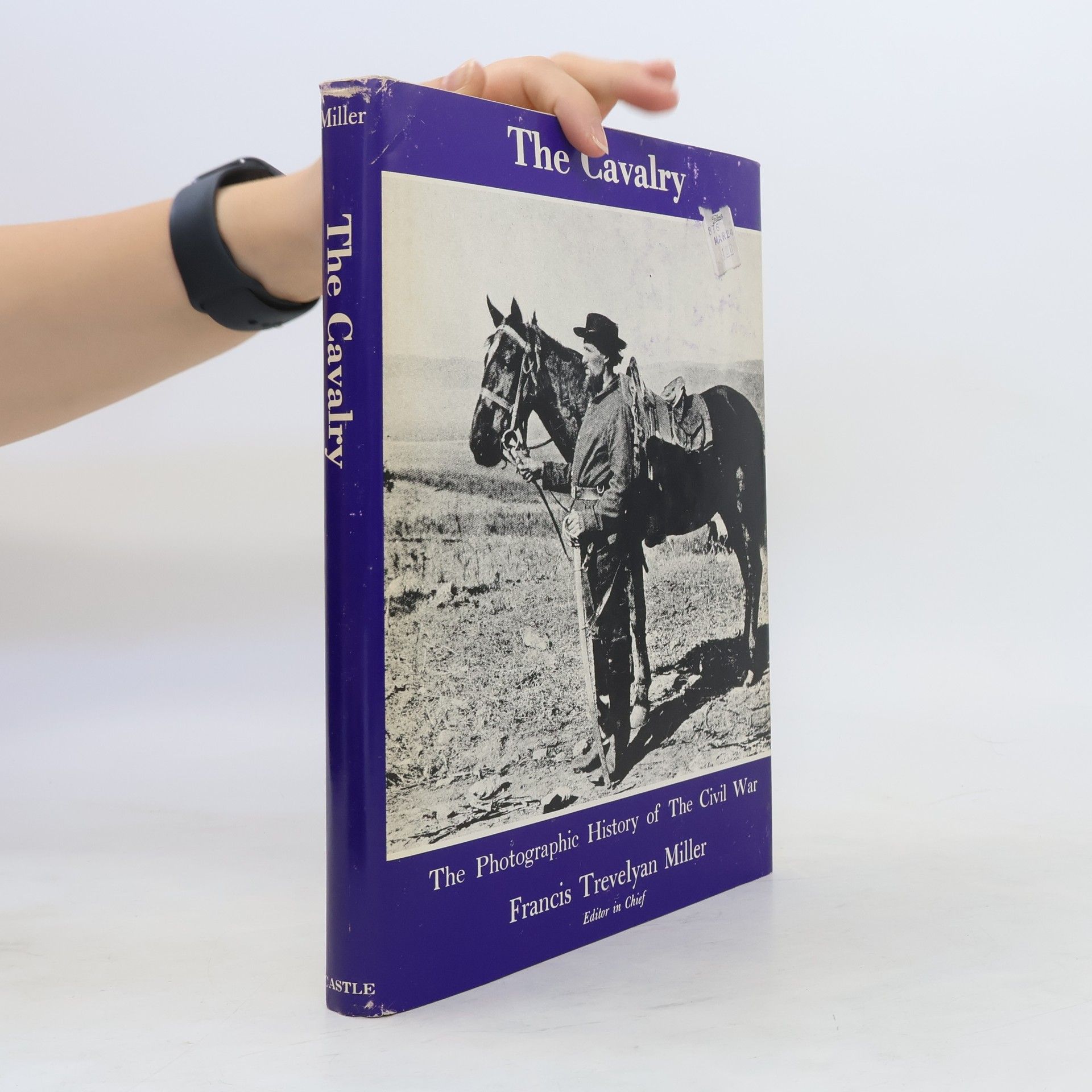 Francis Trevelyan Miller The Cavalry