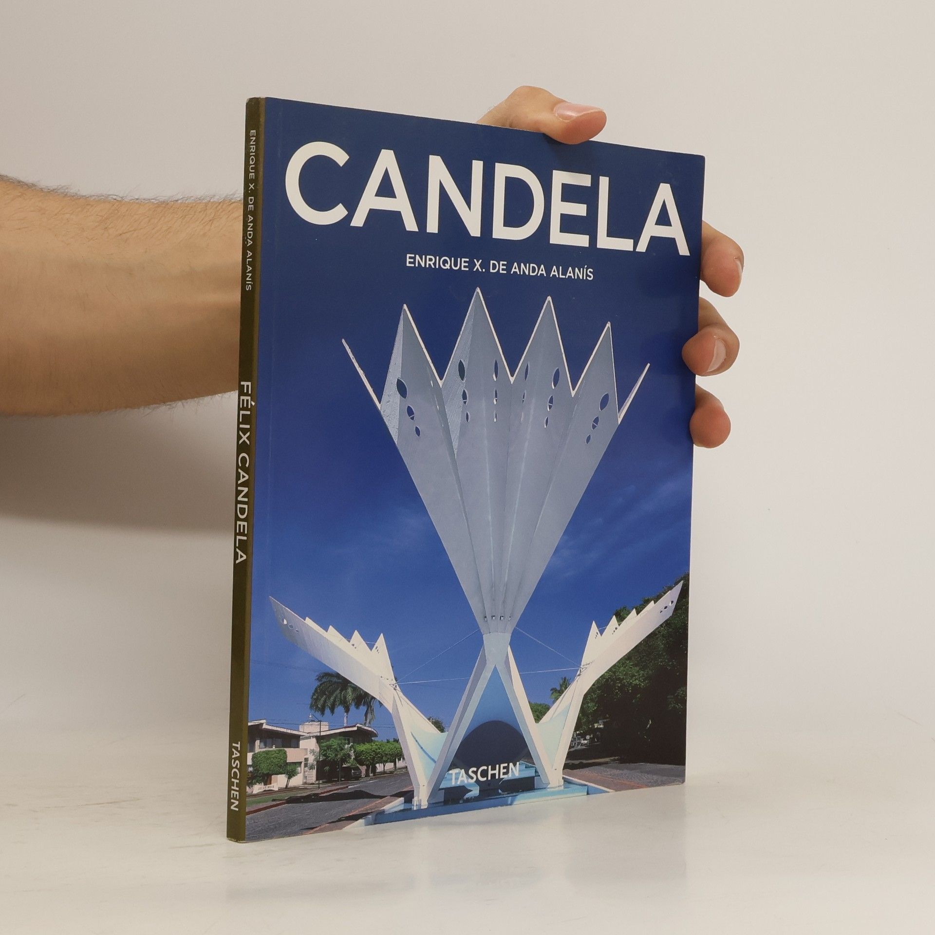 Enrique X. de Anda Alanís Candela