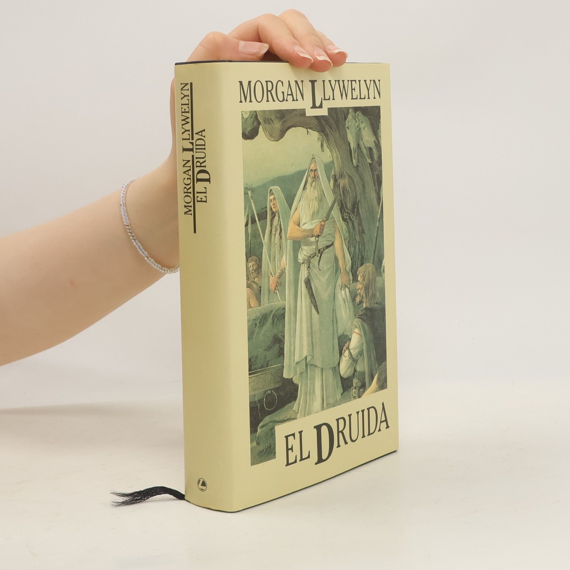 Morgan Llywelyn El druida