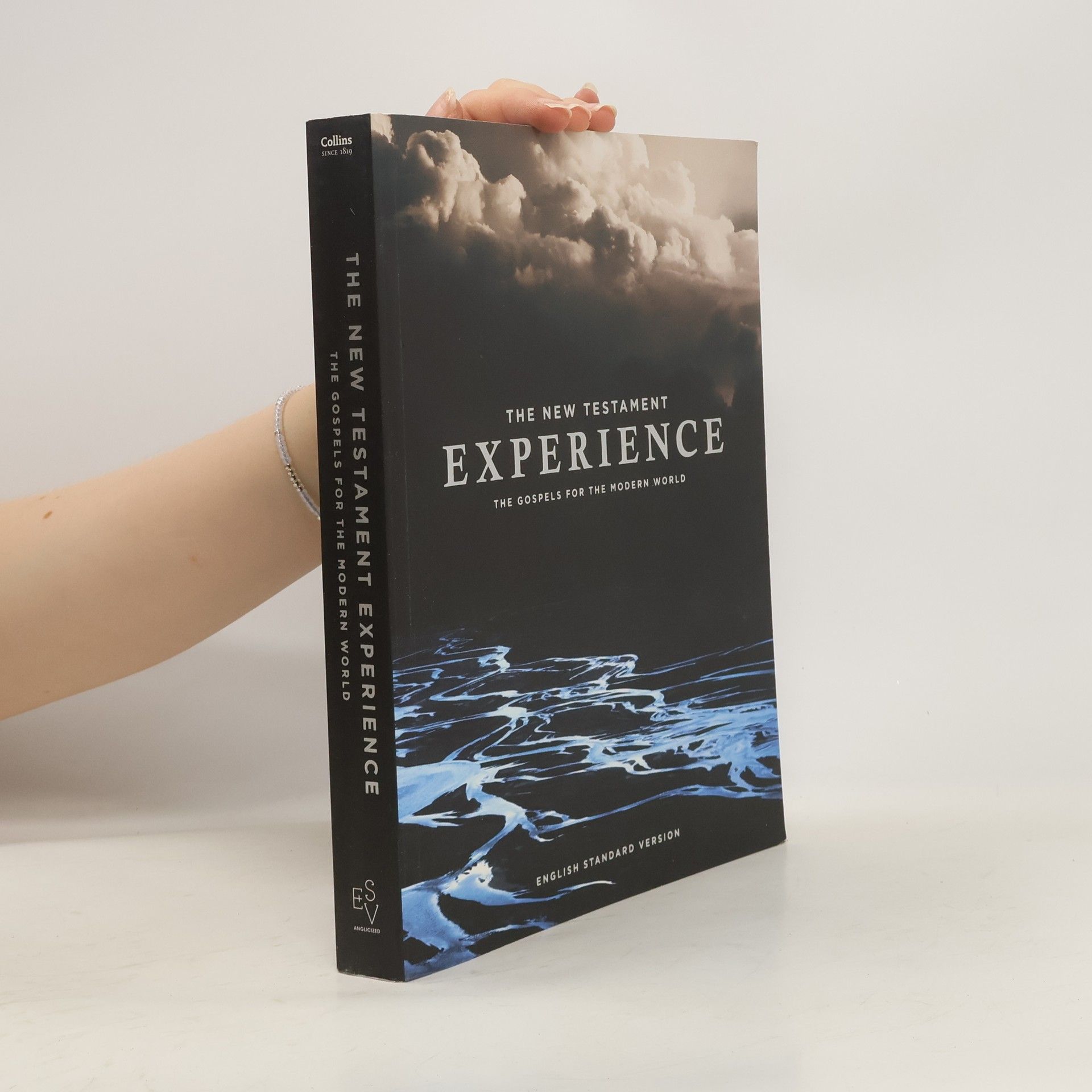 Autores varios The New Testament Experience