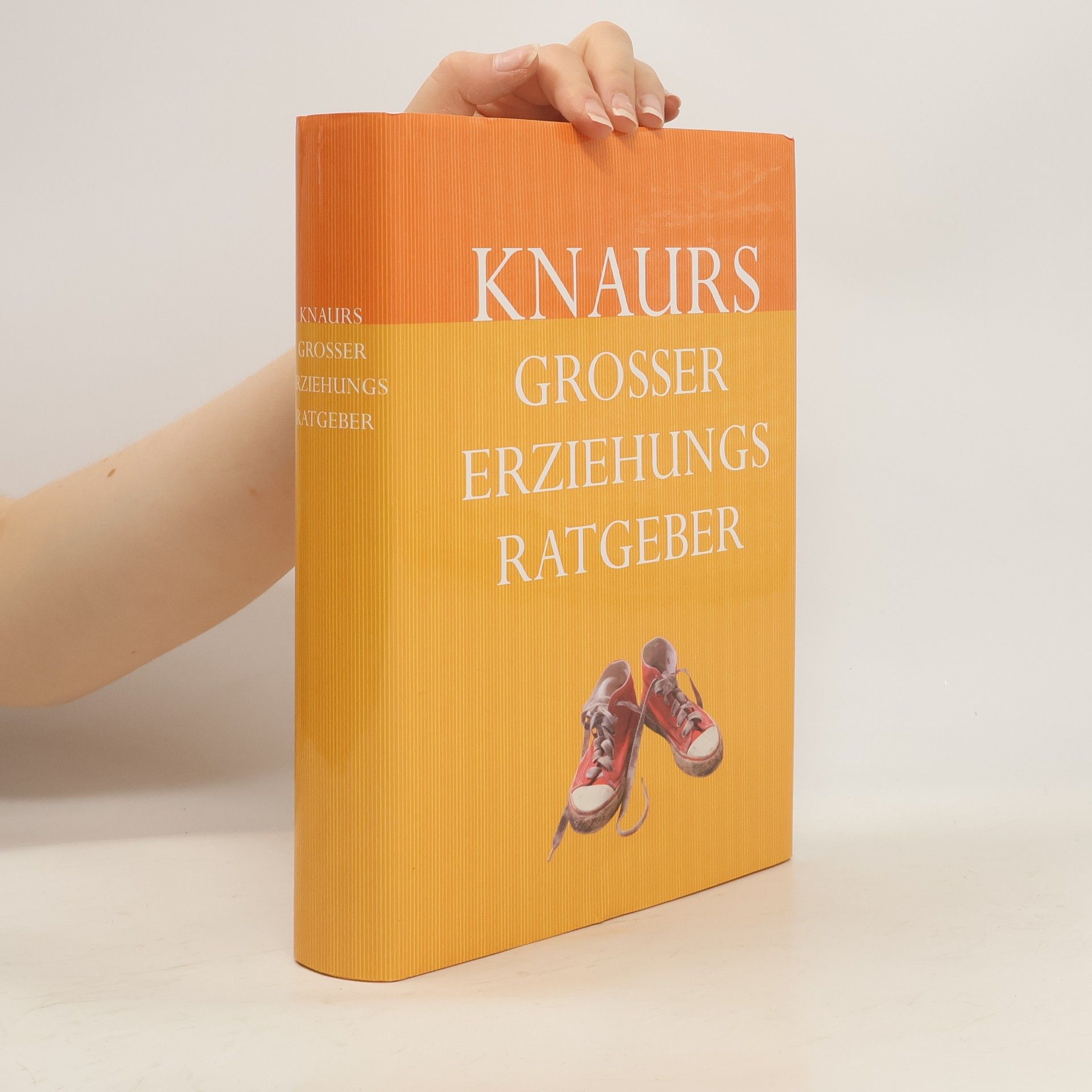 Martin Stiefenhofer Knaurs großer Erziehungs-Ratgeber