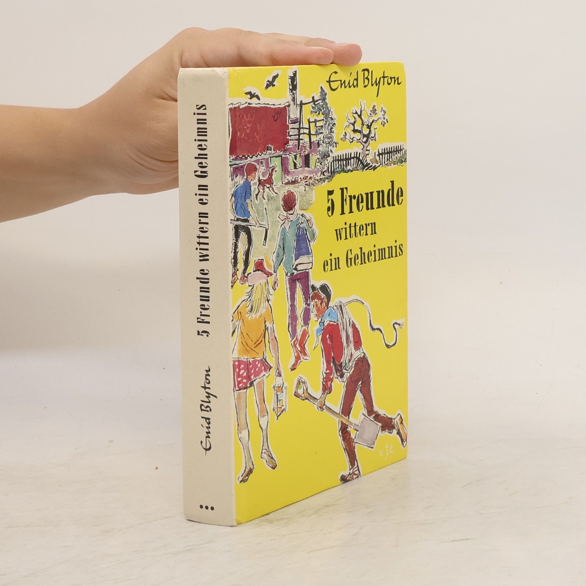 Enid Blyton 5 Freunde wittern ein Geheimnis