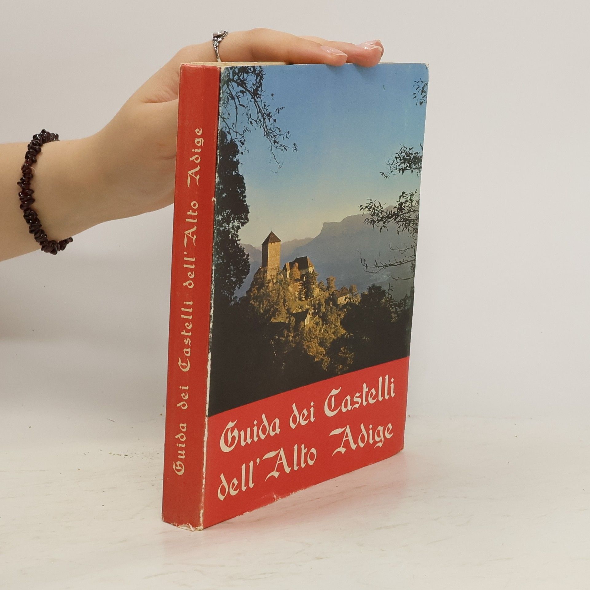 Kolektiv autorů Guida dei Castelli dell Alto Adige