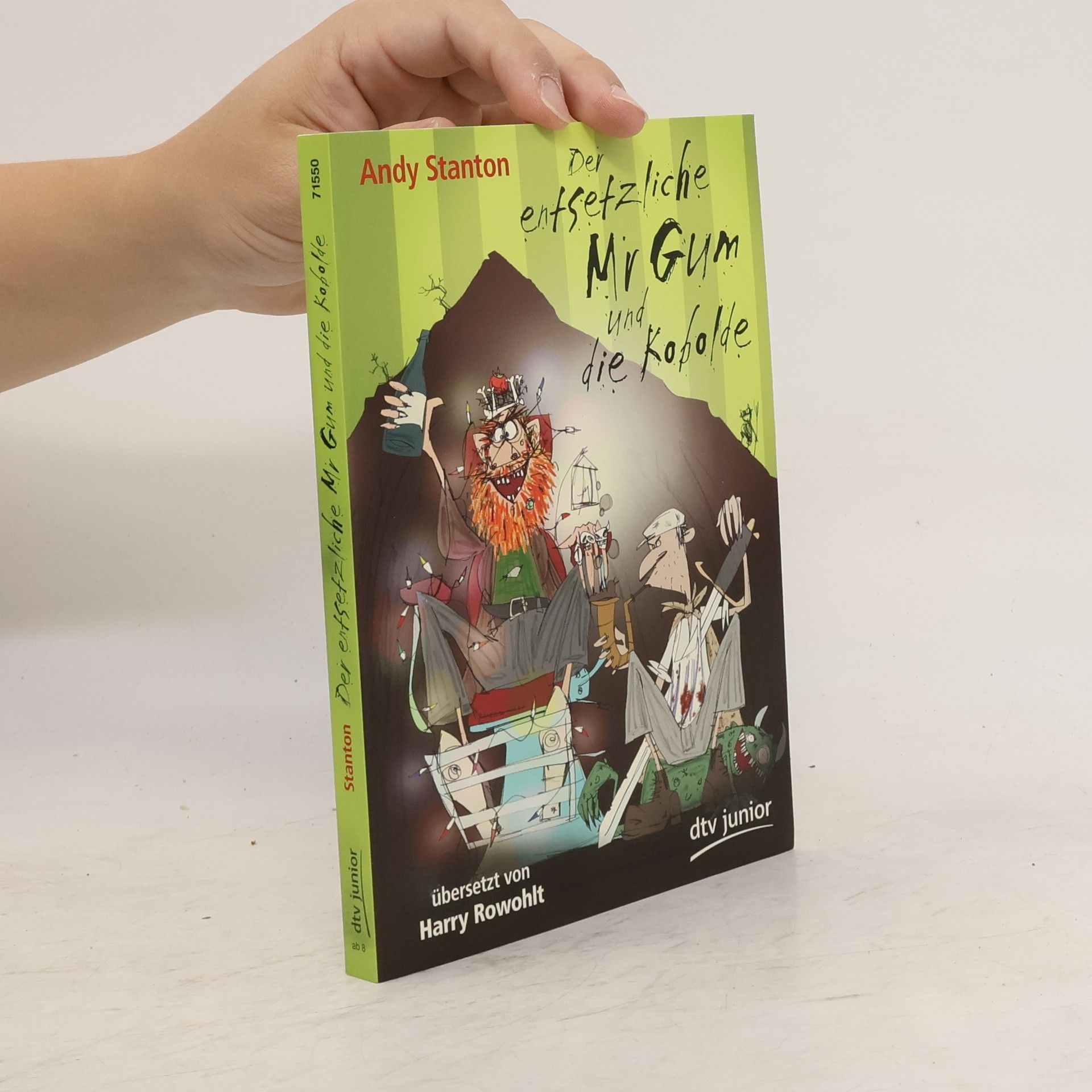 Andy Stanton Der entsetzliche Mr Gum und die Kobolde