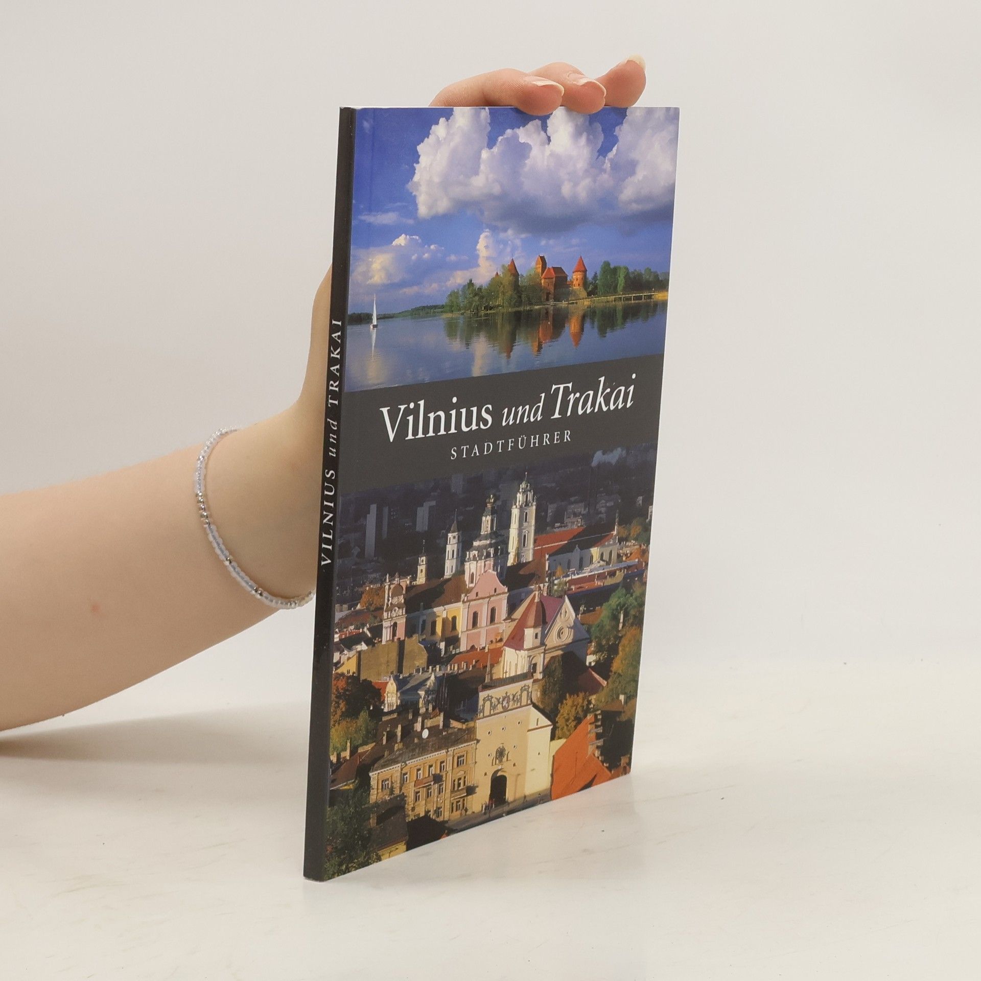 Beata Piasecka Vilnius und Trakai