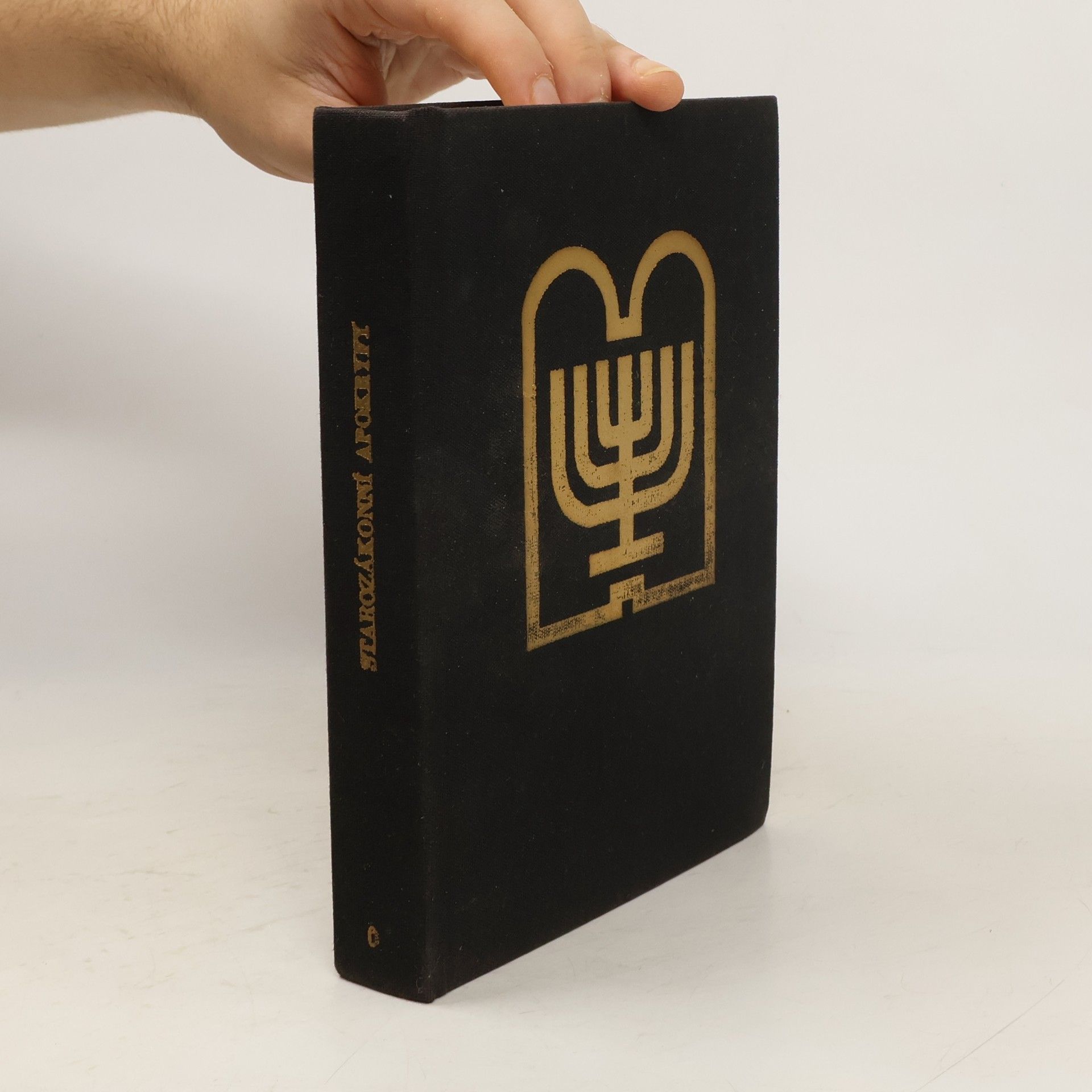 Collectif d'auteurs Starý zákon. Apokryfy