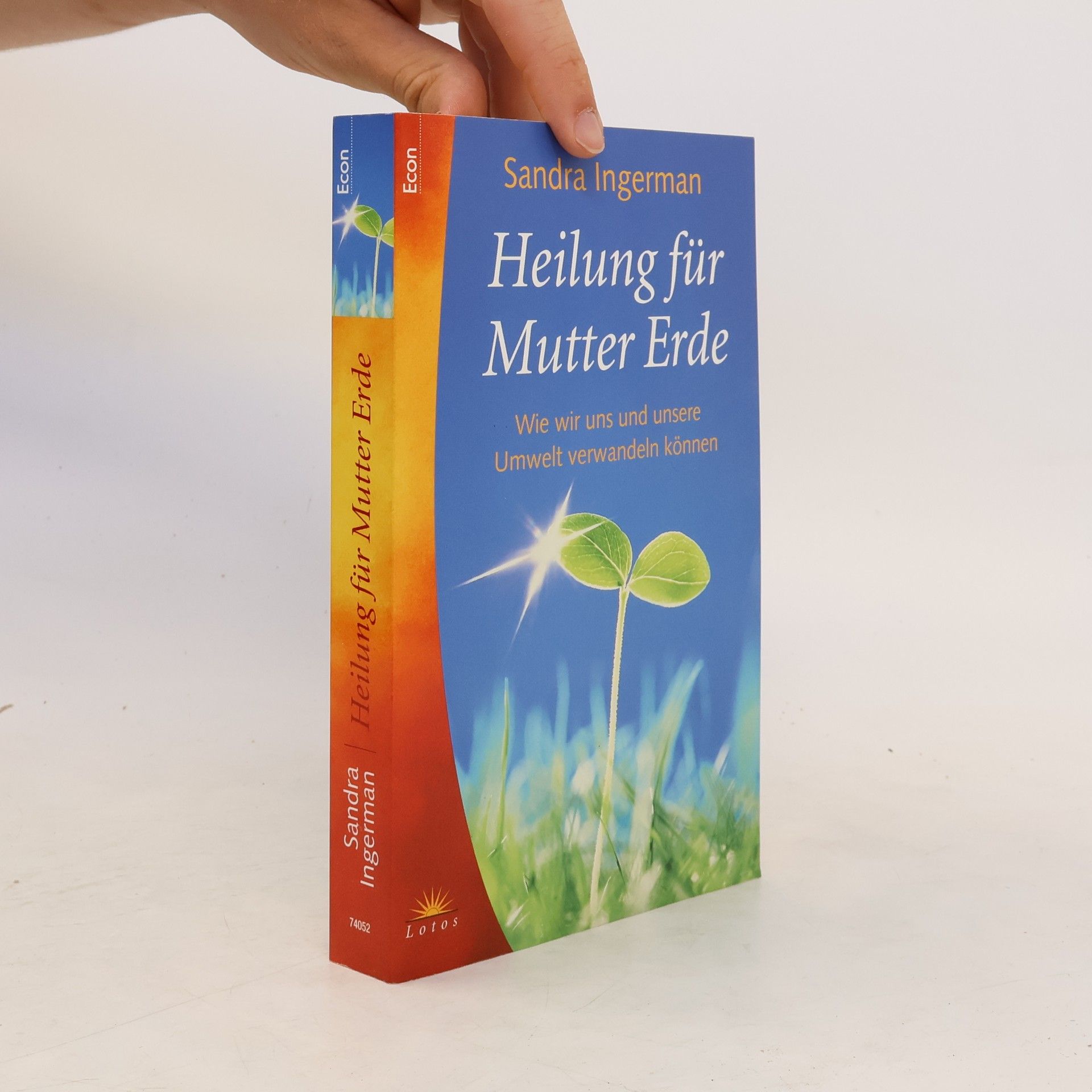 Sandra Ingerman Heilung für Mutter Erde