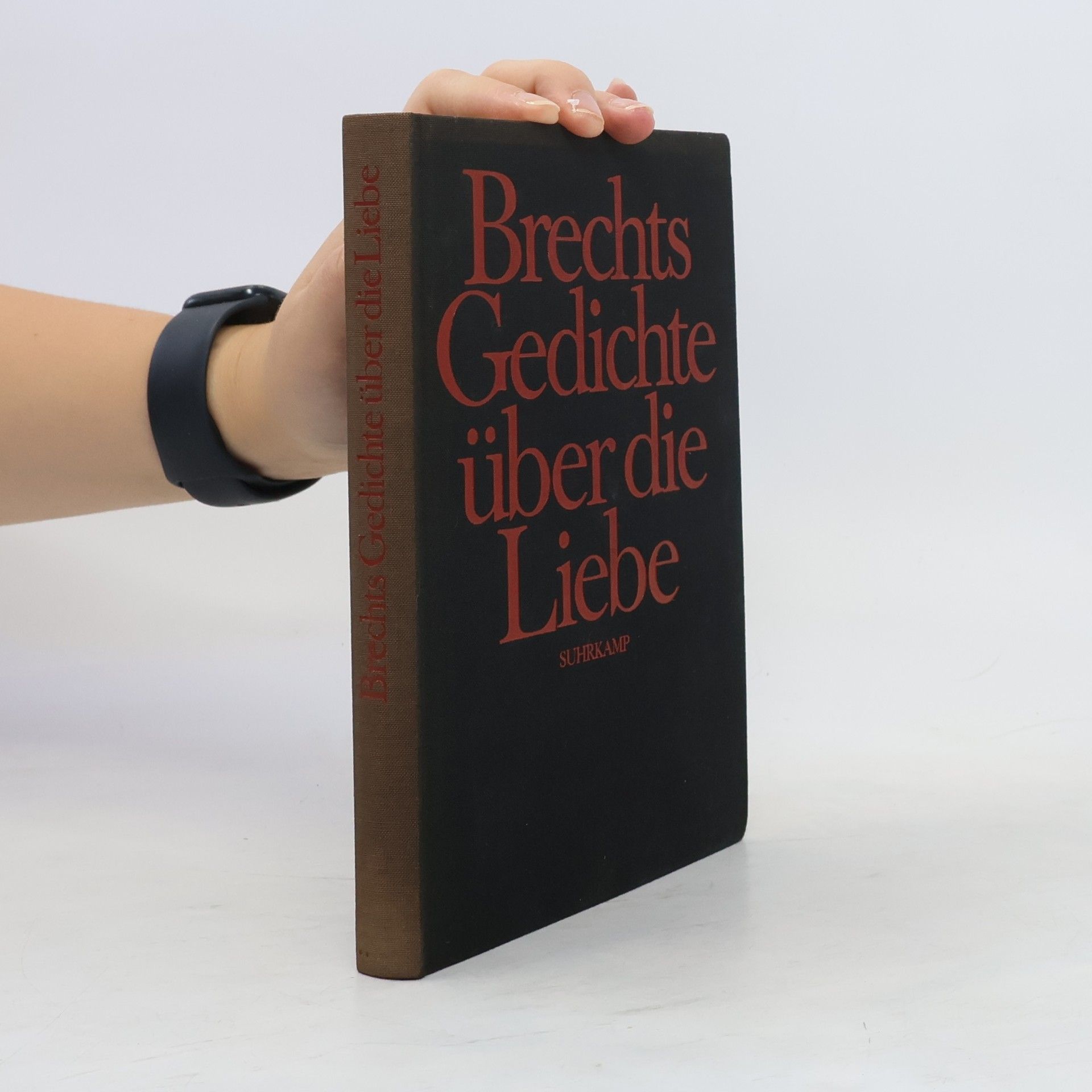 Autorenkollektiv Brechts Gedichte über die Liebe