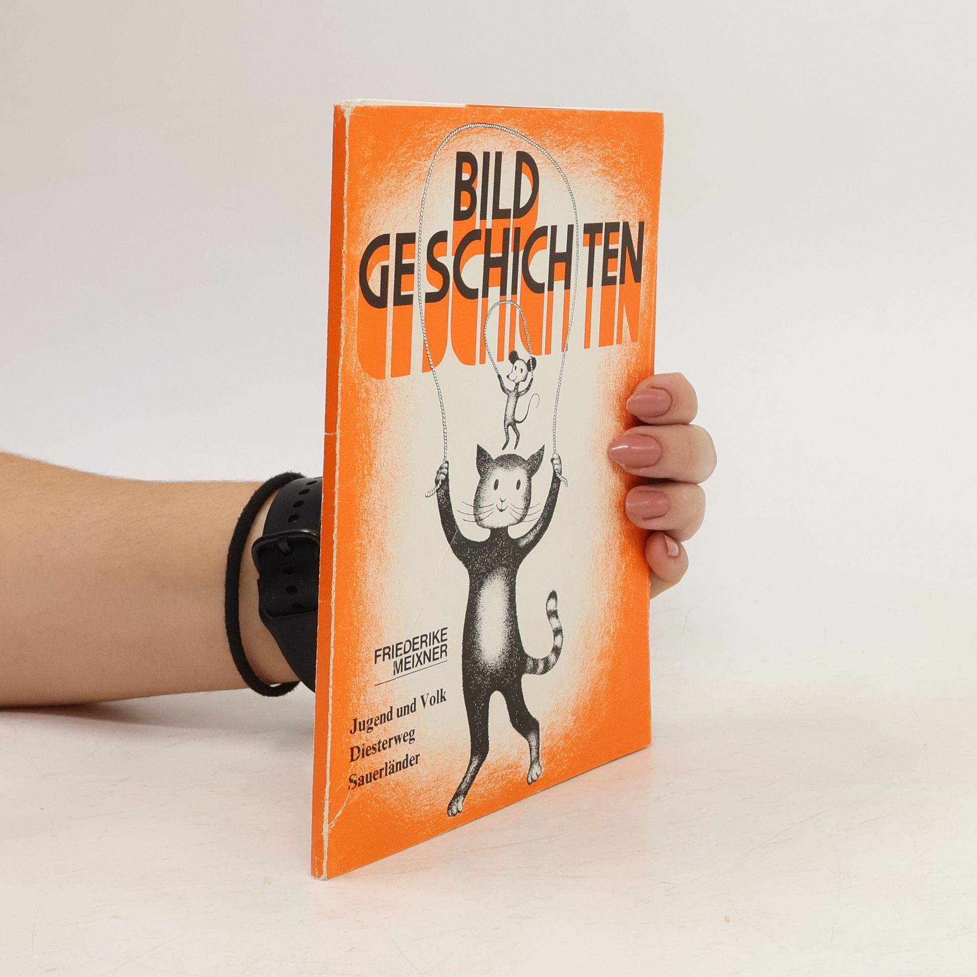 Friederike Meixner Bildgeschichten