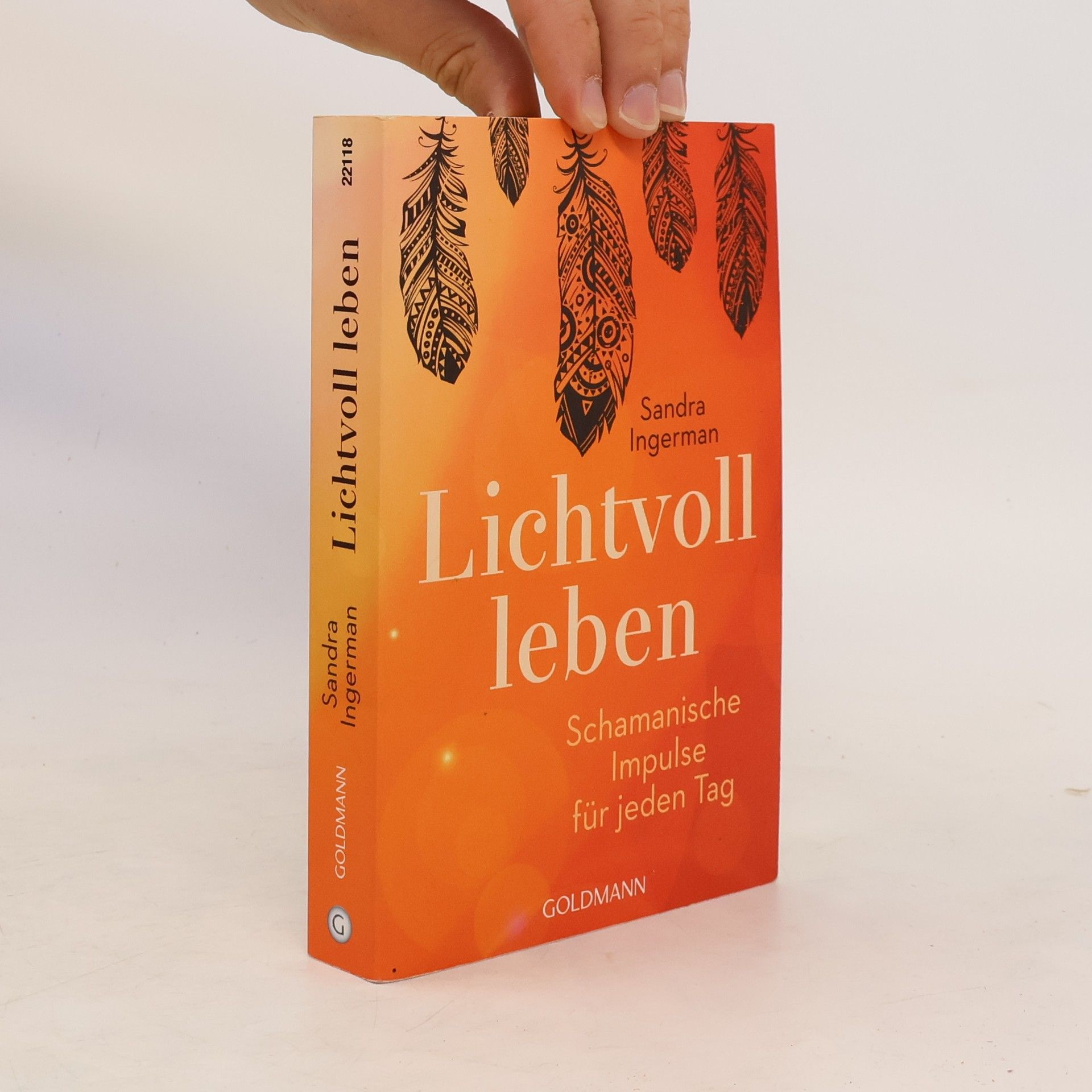 Sandra Ingerman Lichtvoll leben