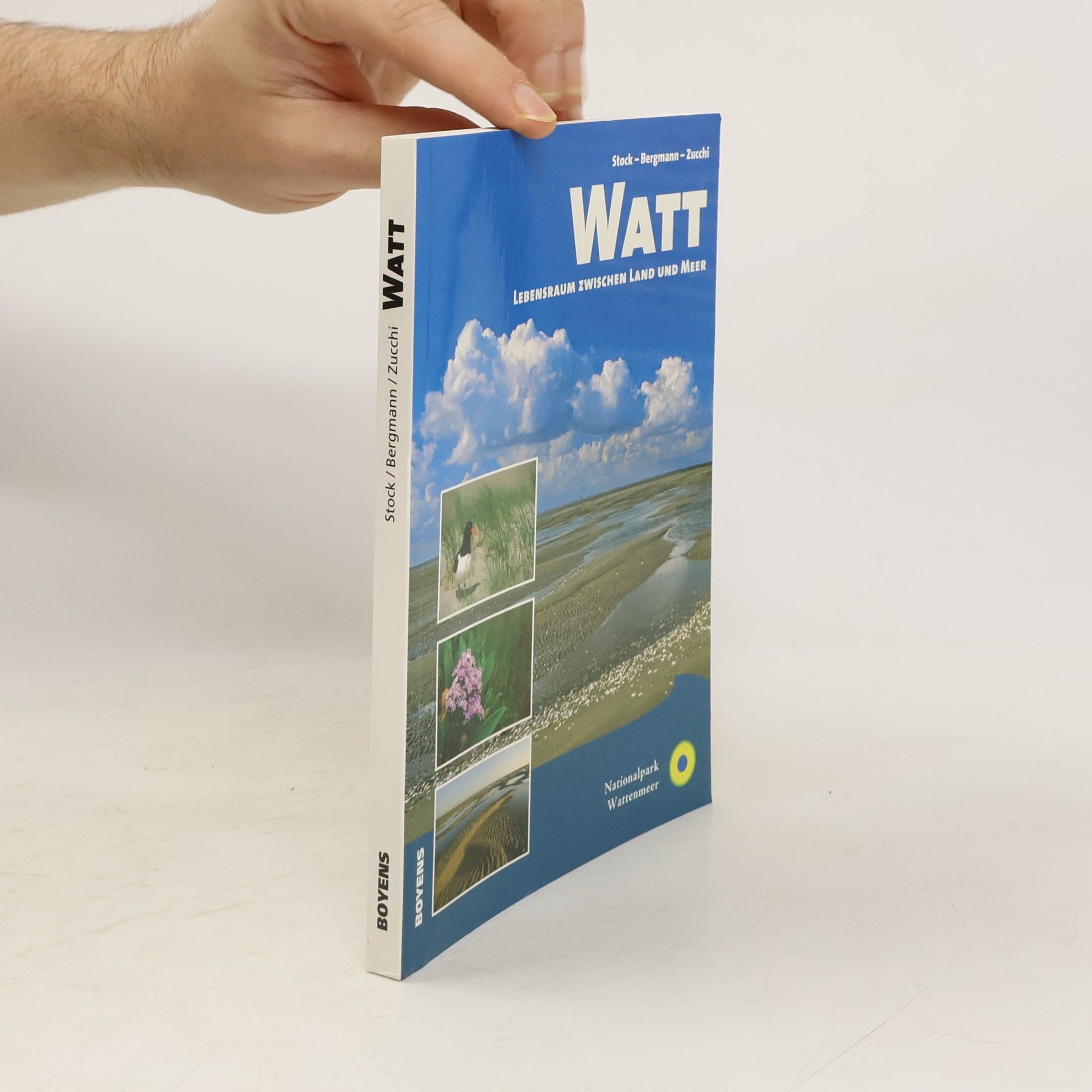 Martin Stock Watt