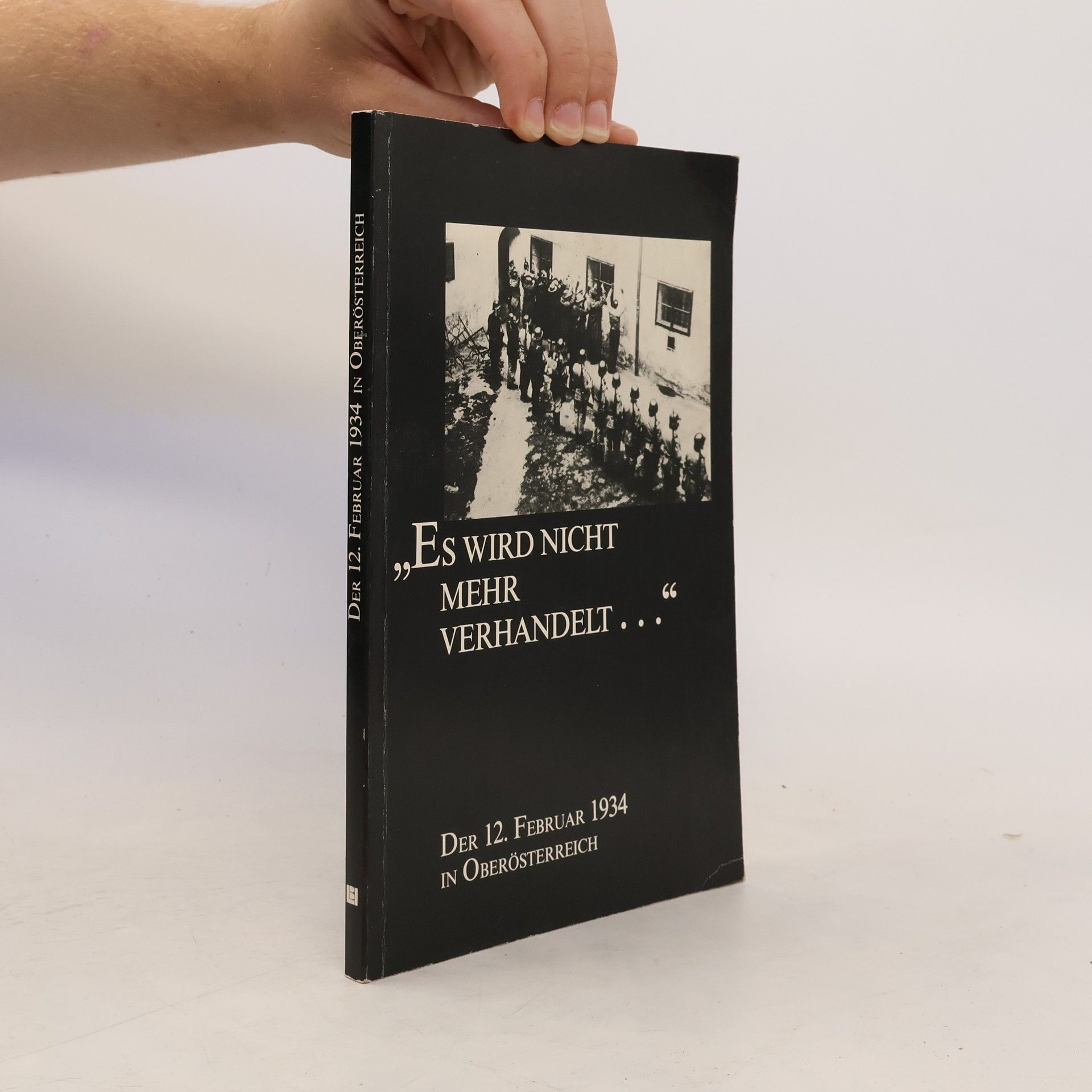 Autorenkollektiv Der 12. Februar 1934 in Oberösterreich