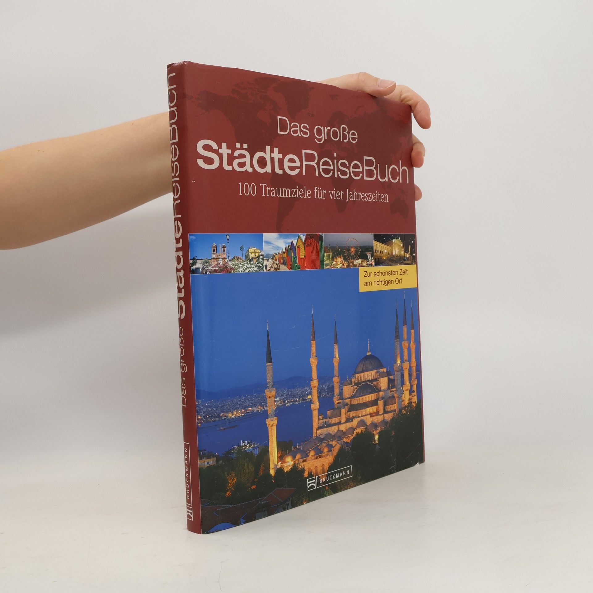 Klaus Viedebantt Das große StädteReiseBuch