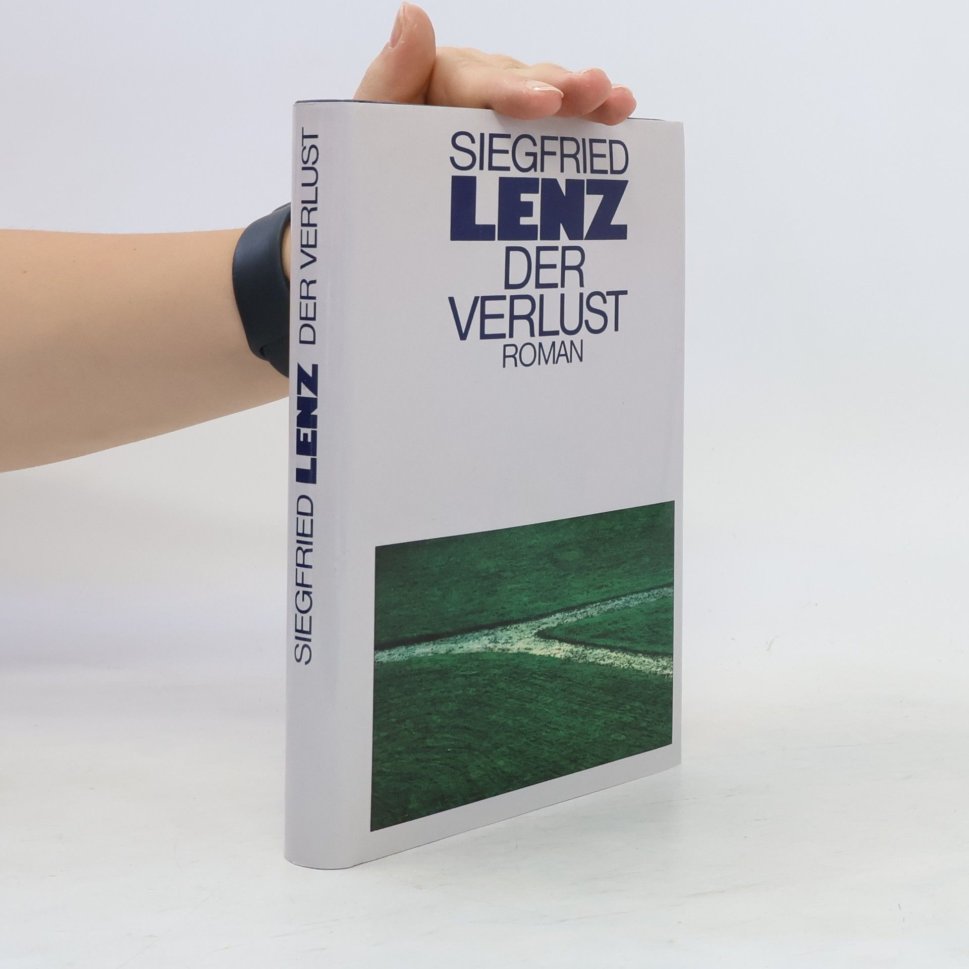 Siegfried Lenz Der Verlust