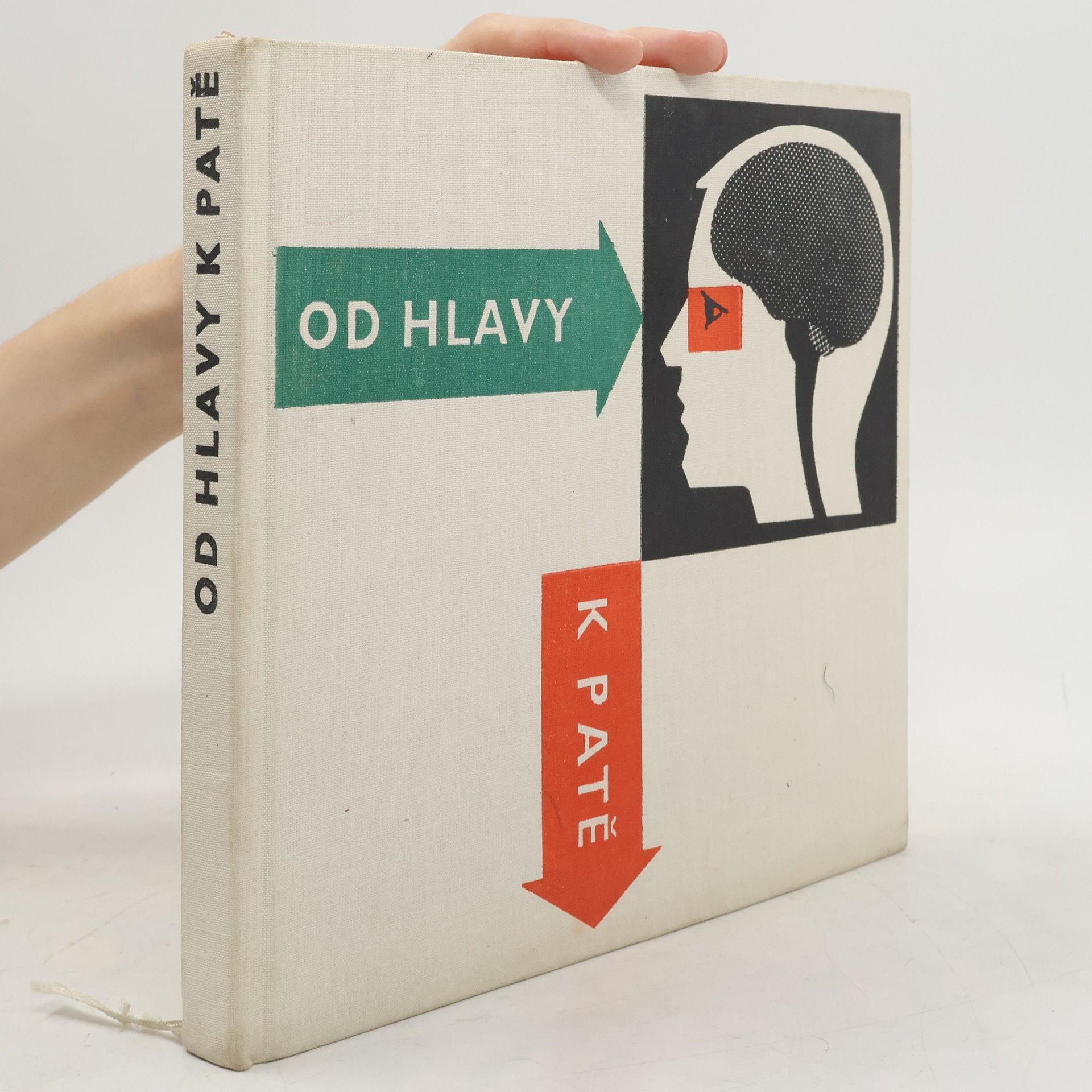 Olga Bojarová Od hlavy k patě