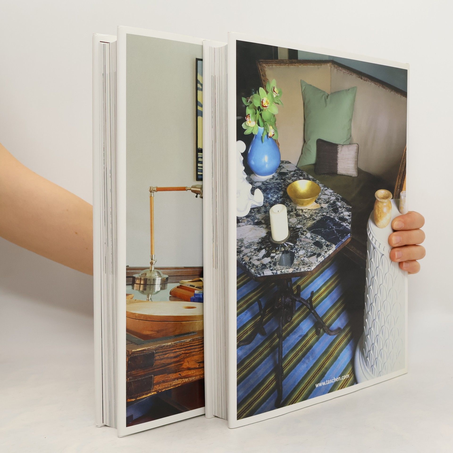 Margit Mayer 100 Interiors Around the World