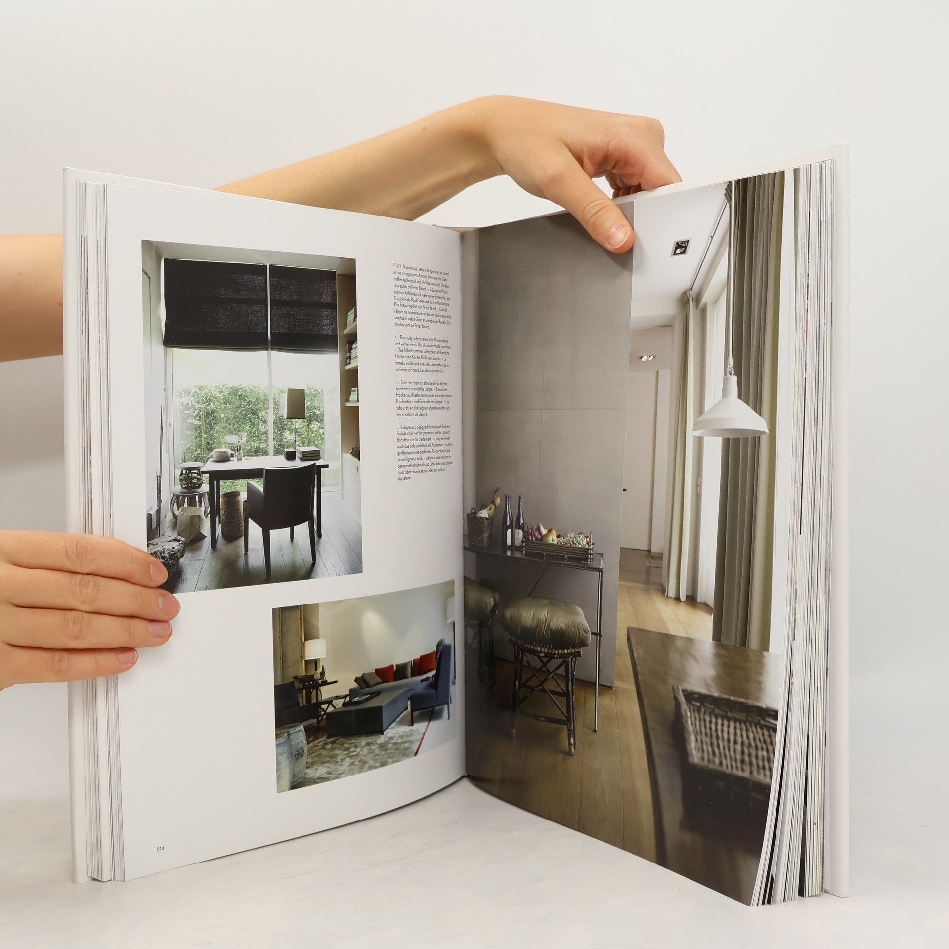 Margit Mayer 100 Interiors Around the World