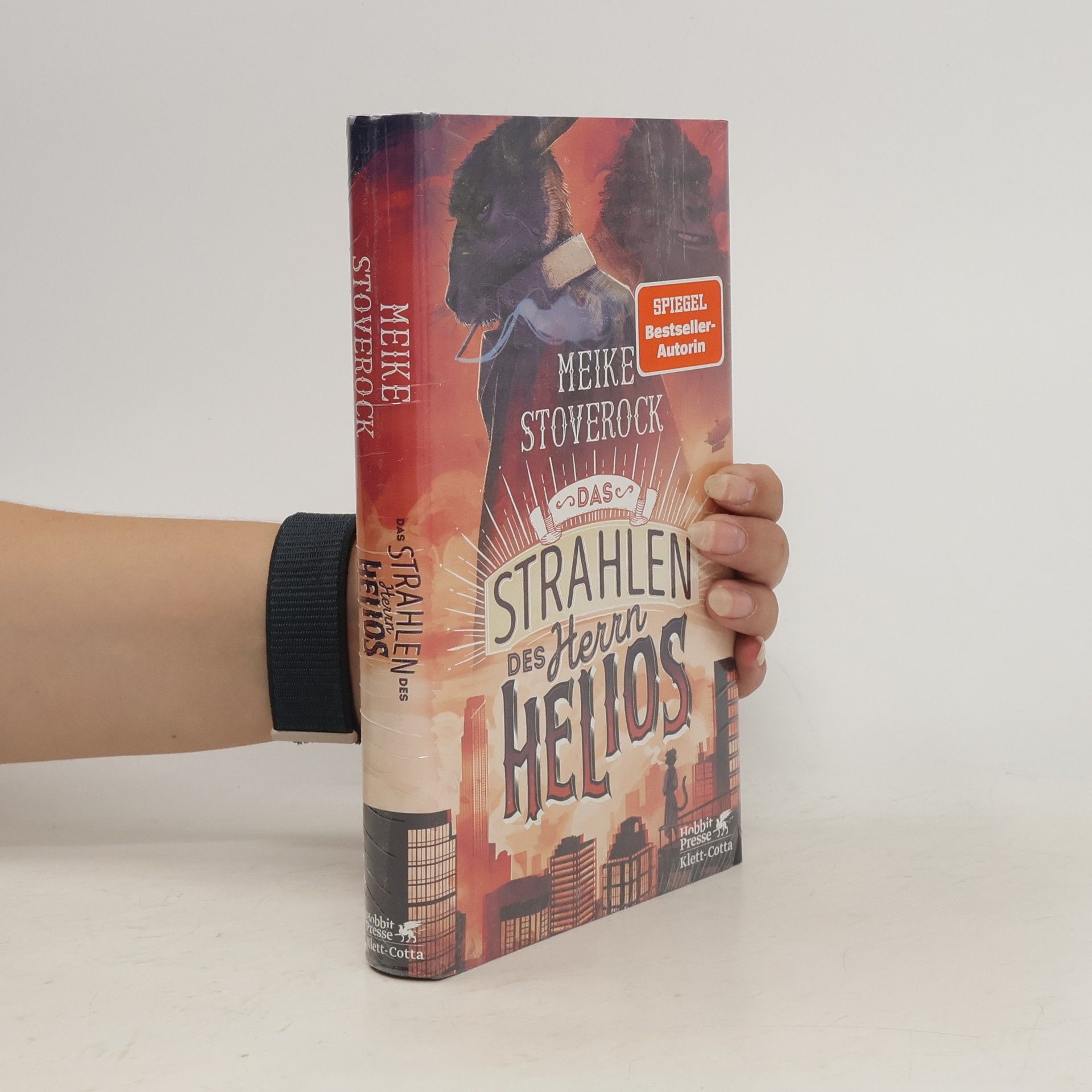 Meike Stoverock Das Strahlen des Herrn Helios