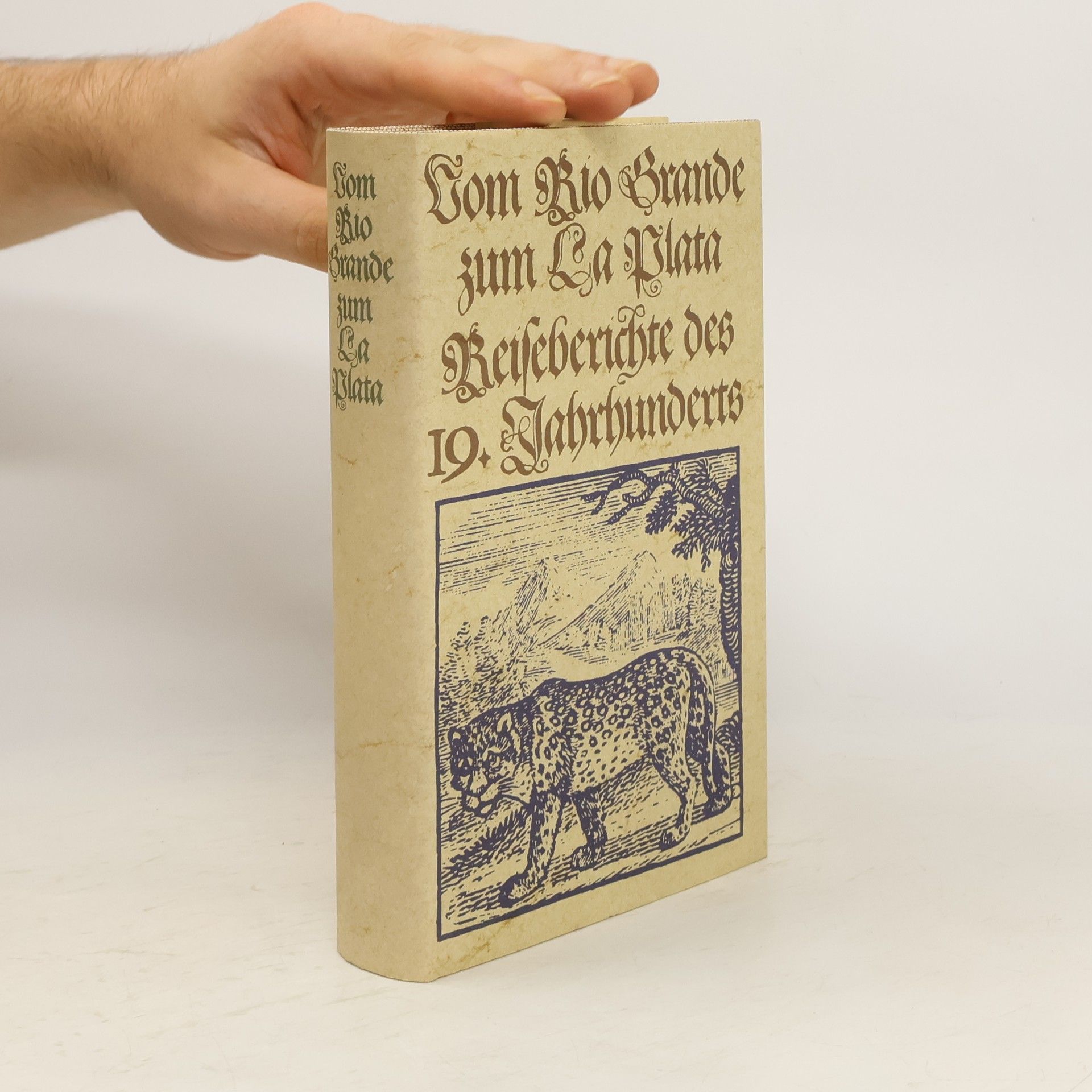 Vom Rio Grande zum La Plata. Reiseberichte des 19. Jahrhunderts
