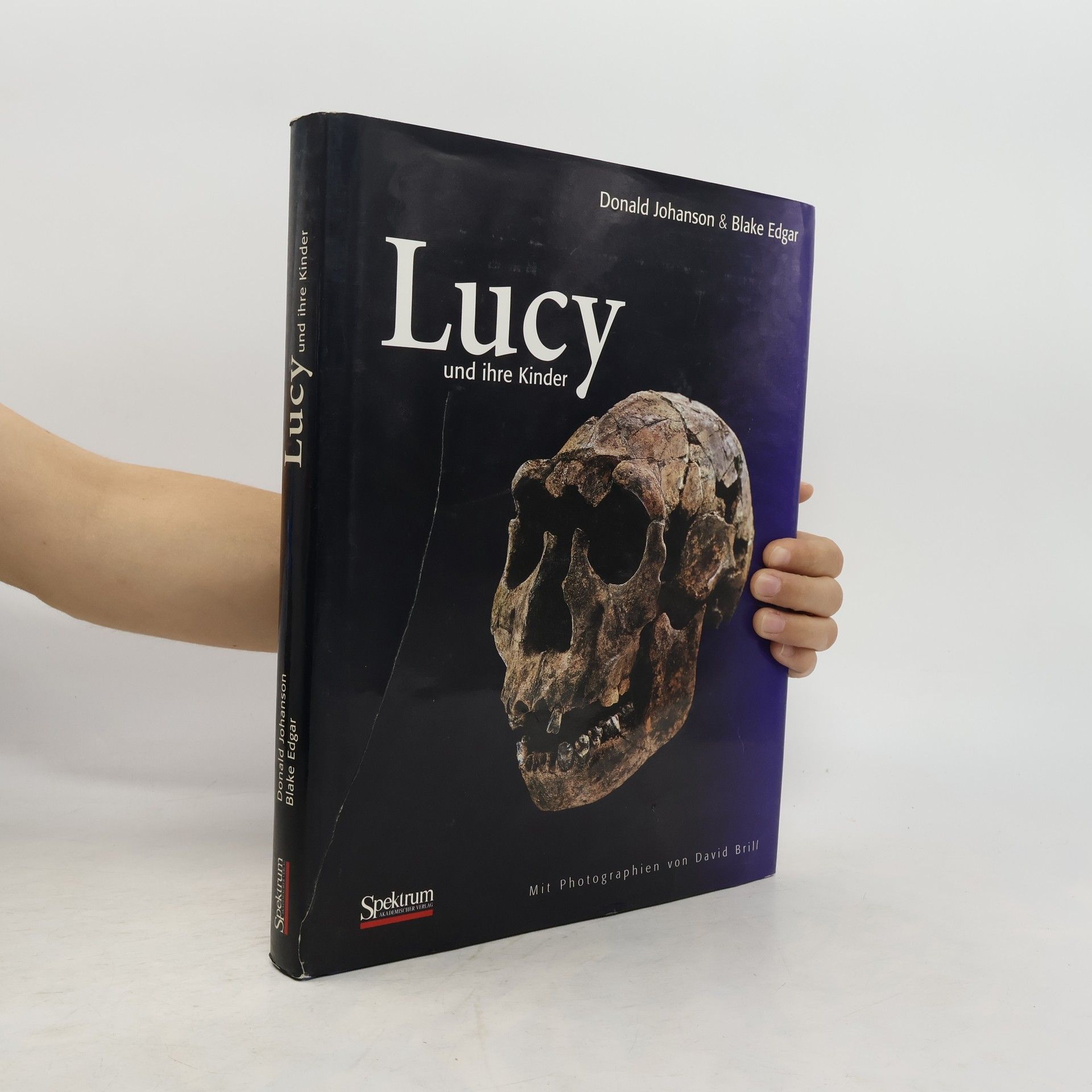 Donald C. Johanson Lucy und ihre Kinder