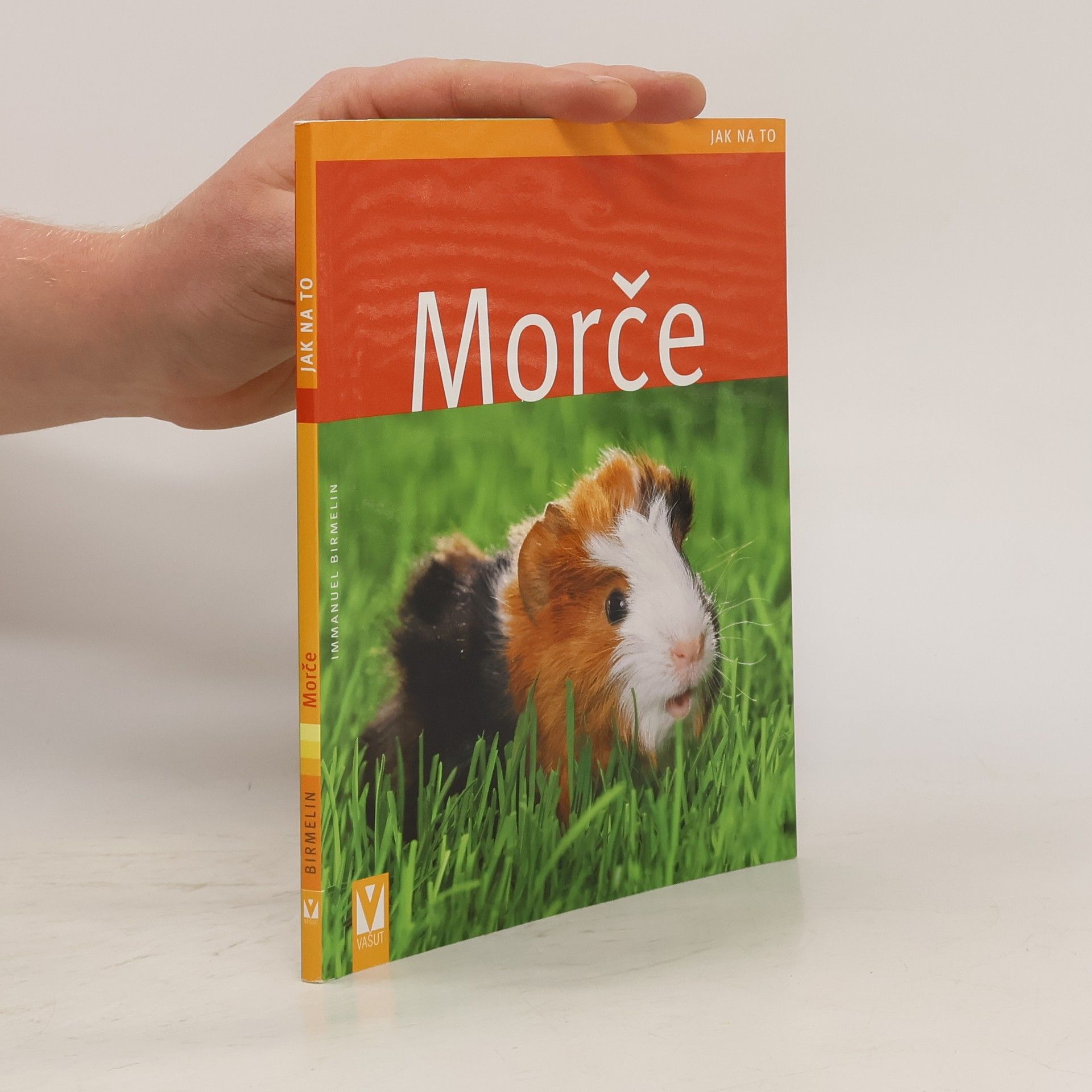 Oliver Giel Morče