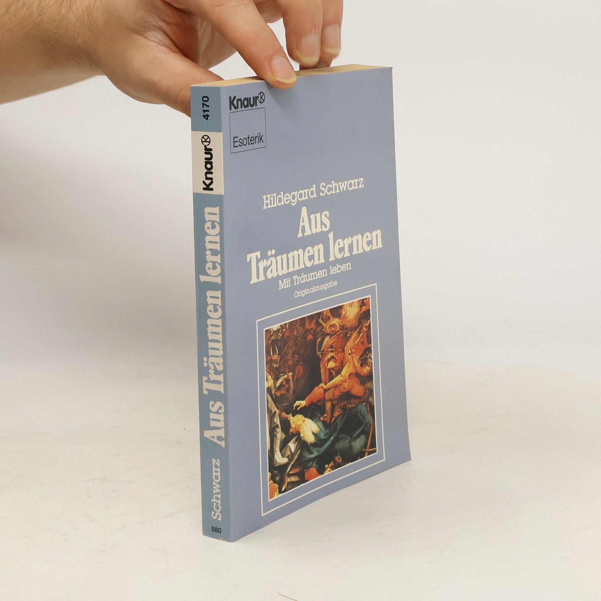 Hildegard Schwarz Aus Träumen lernen