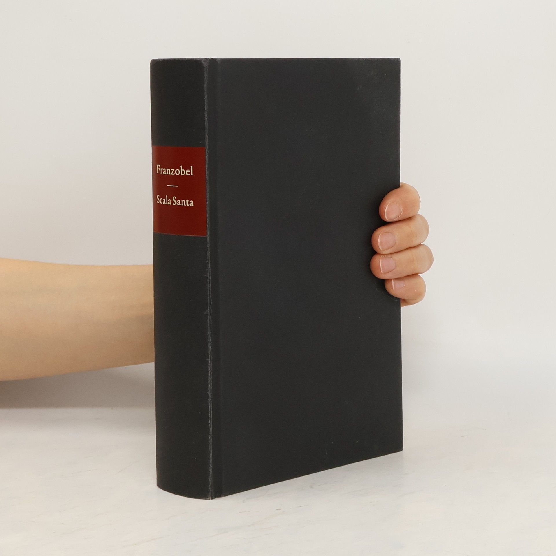 Scala Santa, oder, Josefine Wurznbachers Höhepunkt