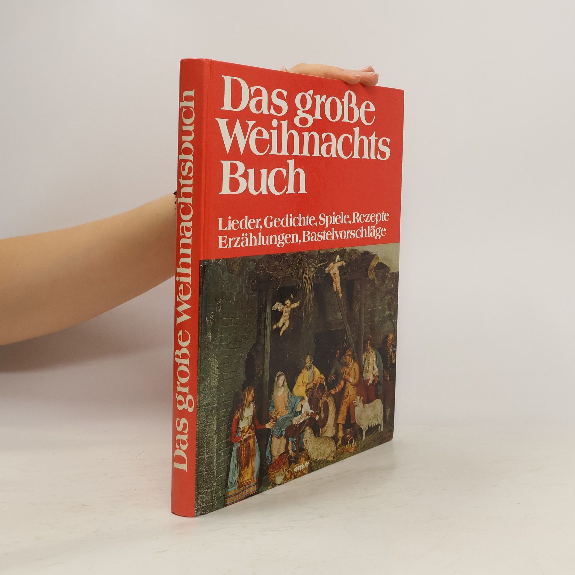 Autorenkollektiv Das große Weihnachts Buch