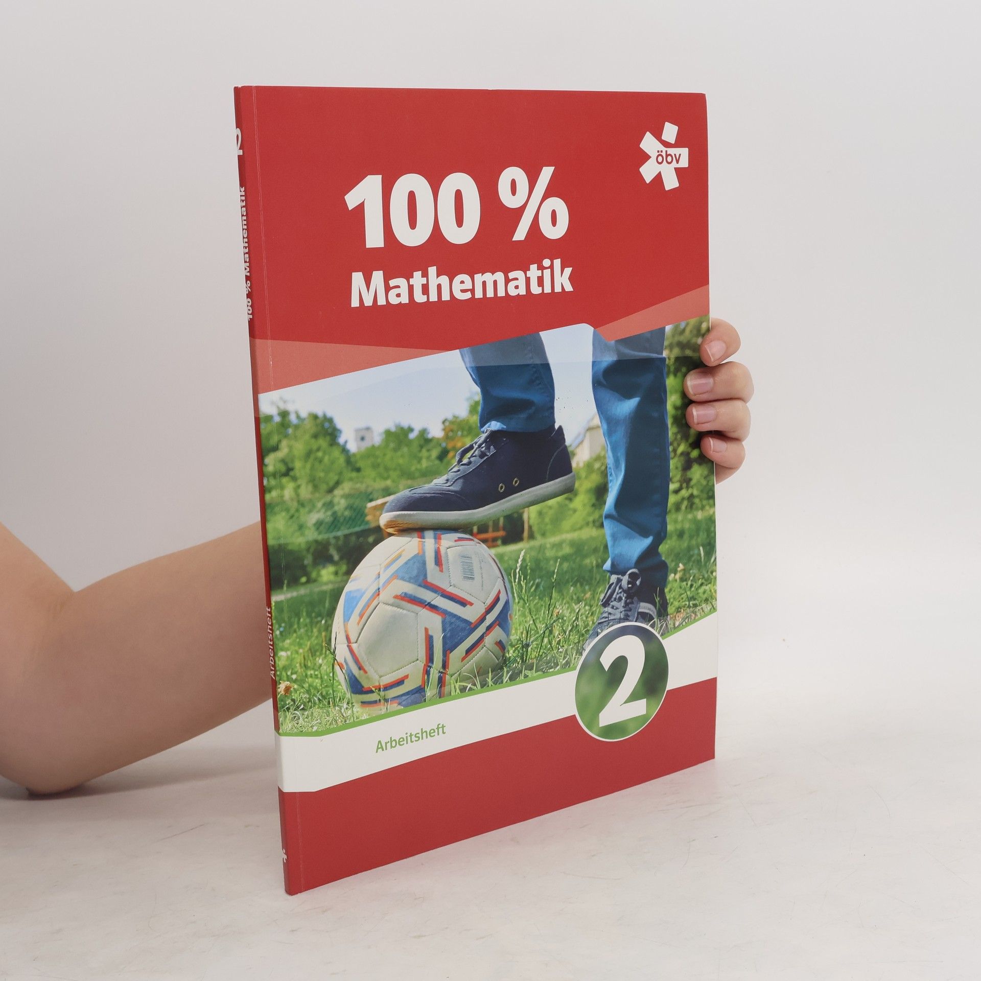 Sabine Mader 100% Mathematik 2