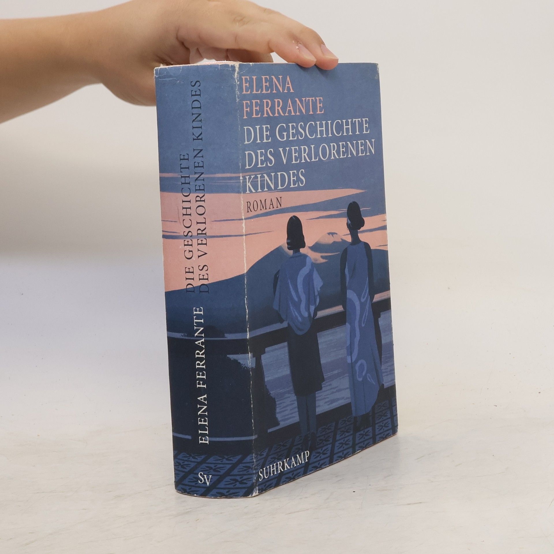 Elena Ferrante Die Geschichte Des Verlorenen Kindes