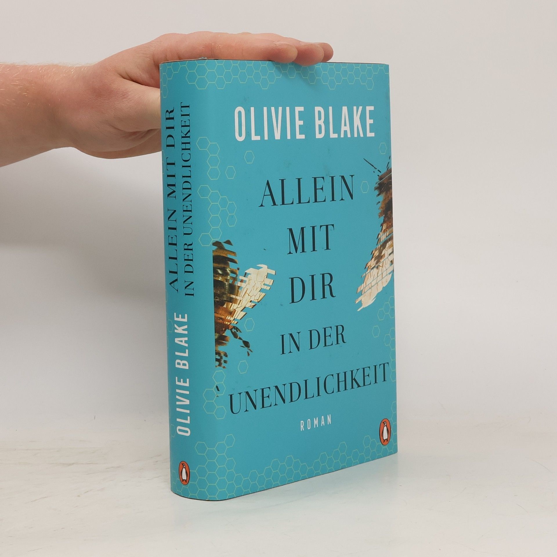 Olivie Blake Allein mit dir in der Unendlichkeit
