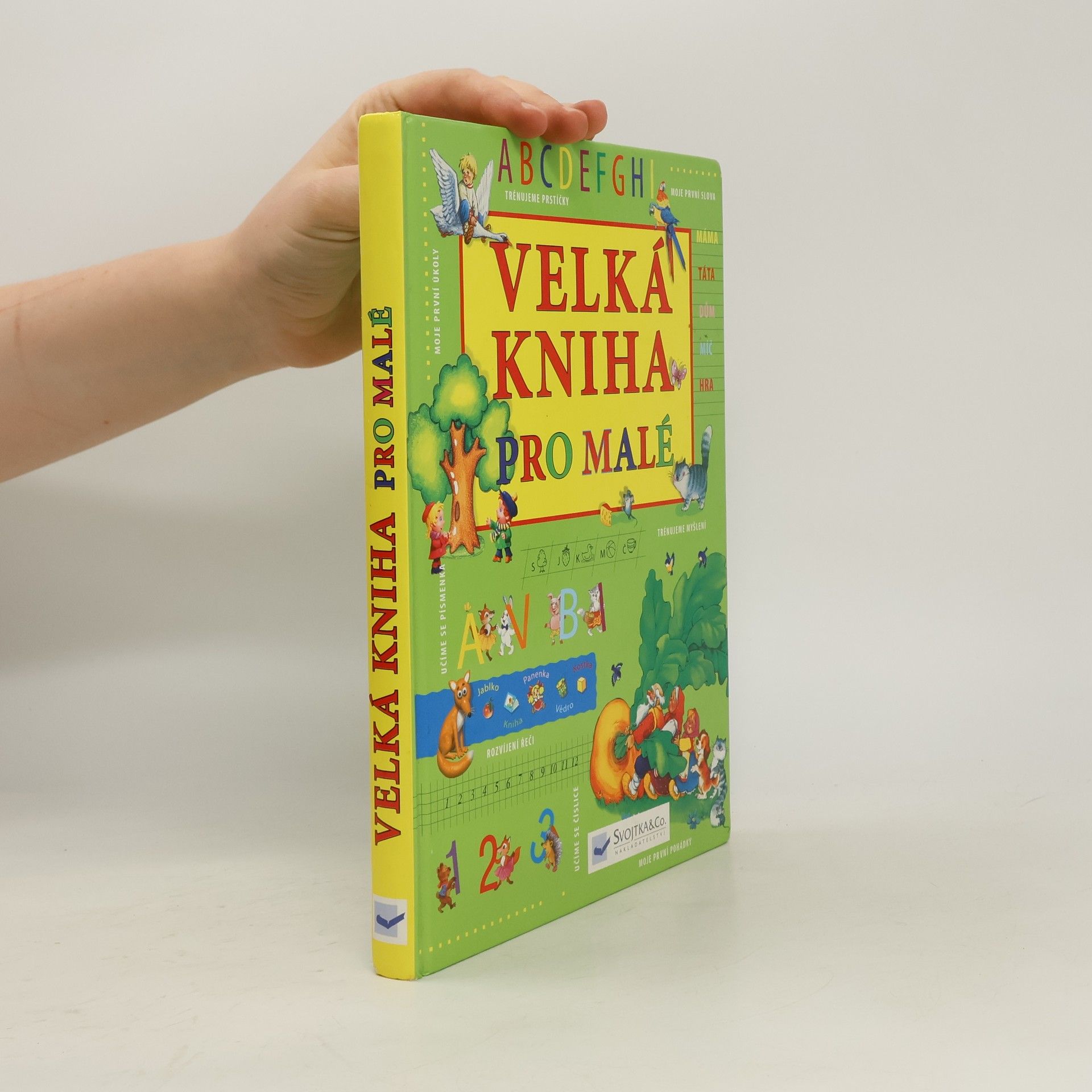 Kolektiv autorů Velká kniha pro malé