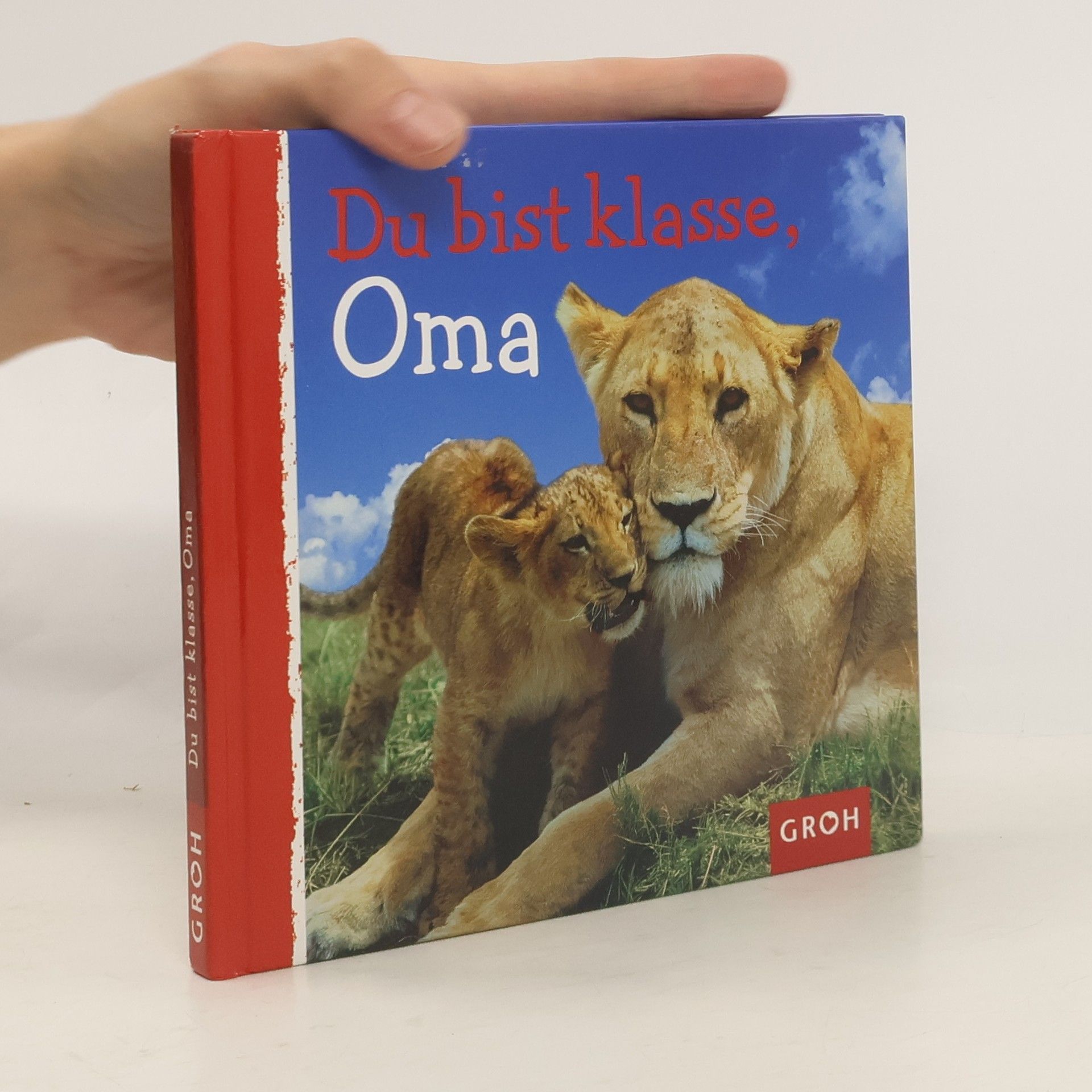 Dorothée Bleker Du bist klasse, Oma