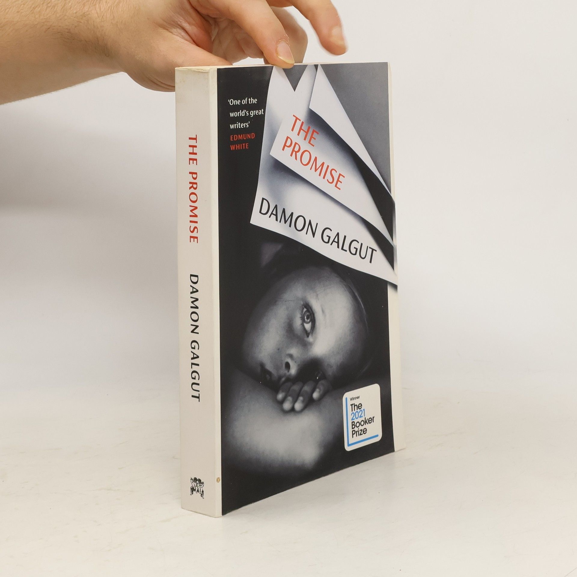 Damon Galgut The Promise