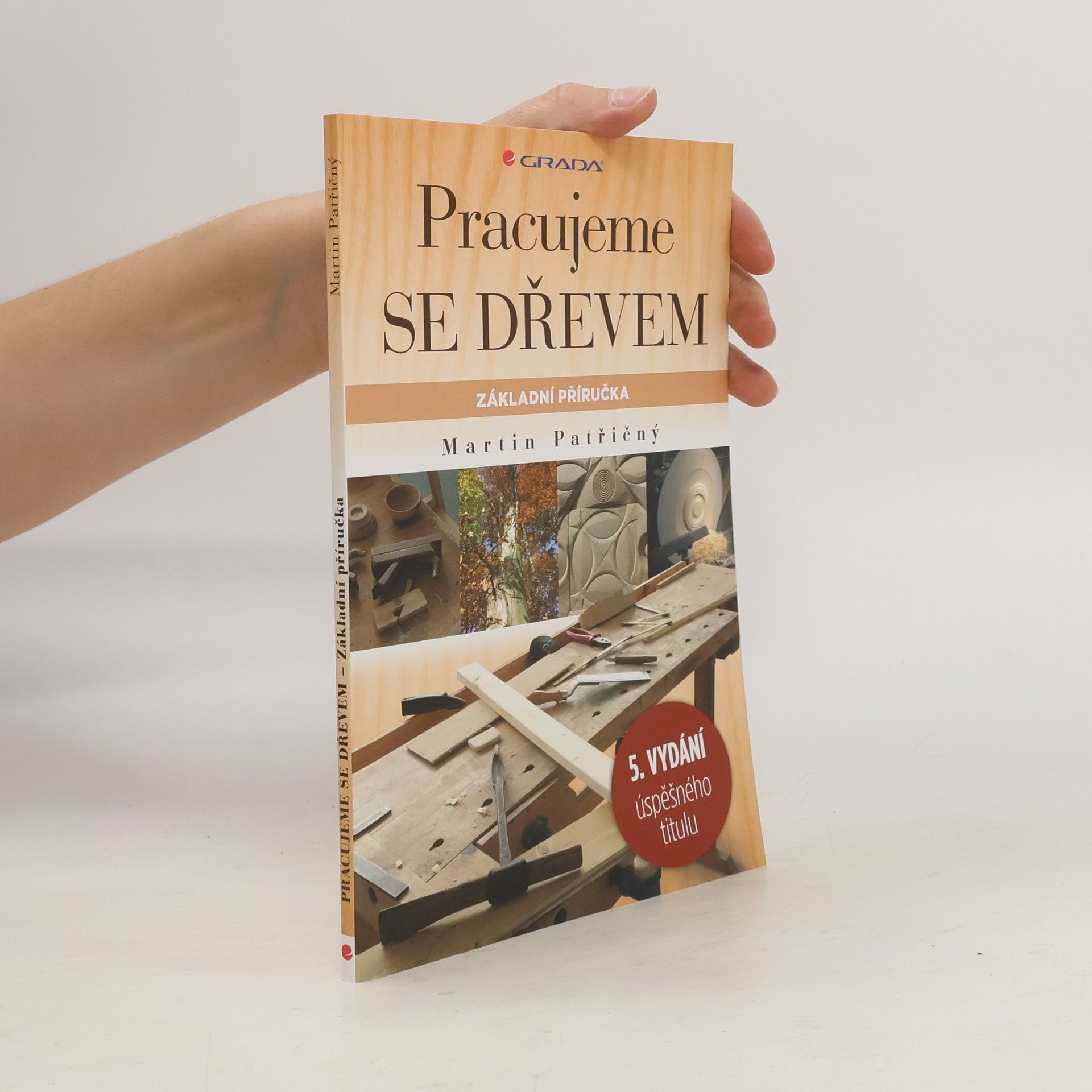 Martin Patřičný Pracujeme se dřevem. Základní příručka