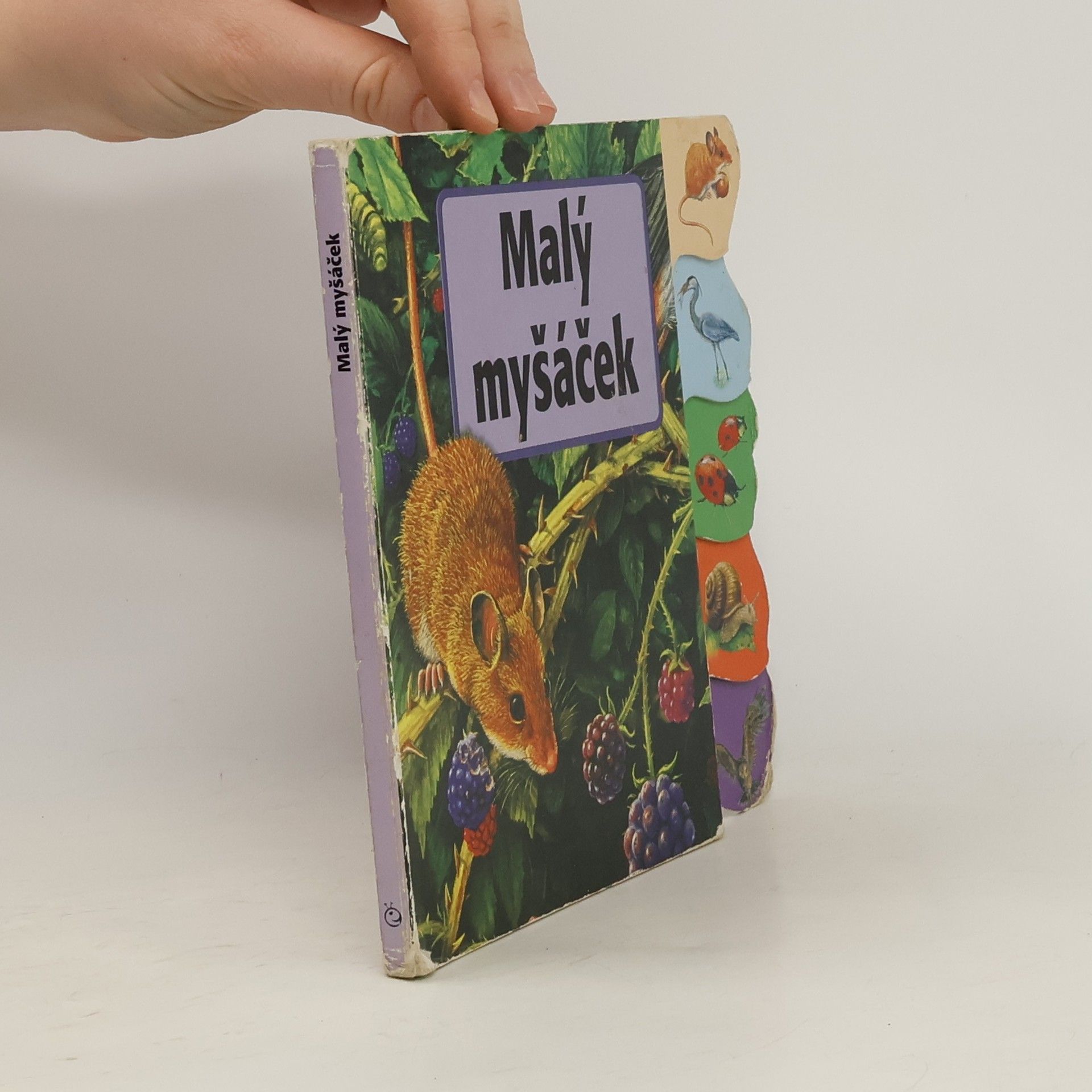 Mauro Monaldini Malý myšáček