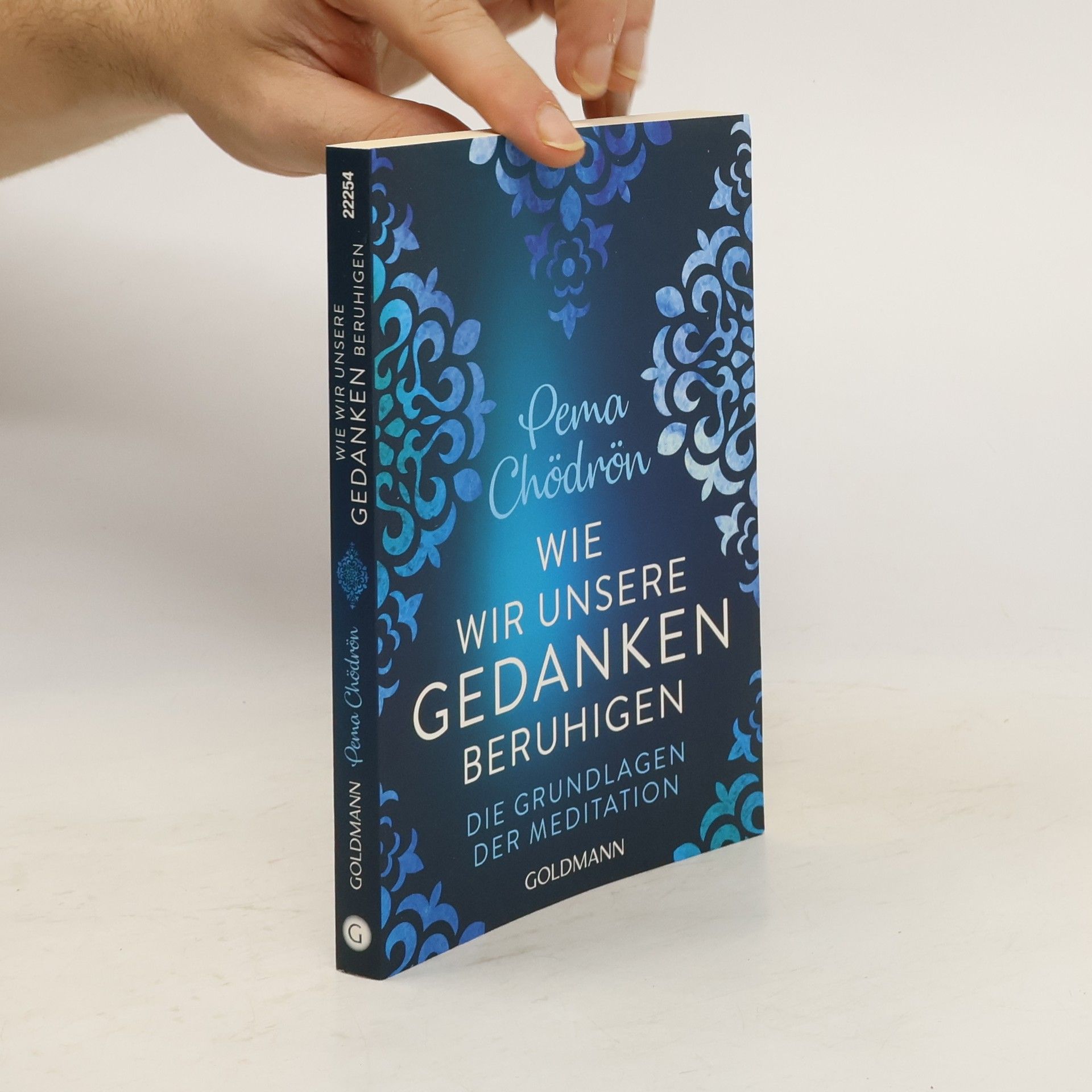 Pema Chödrön Wie wir unsere Gedanken beruhigen