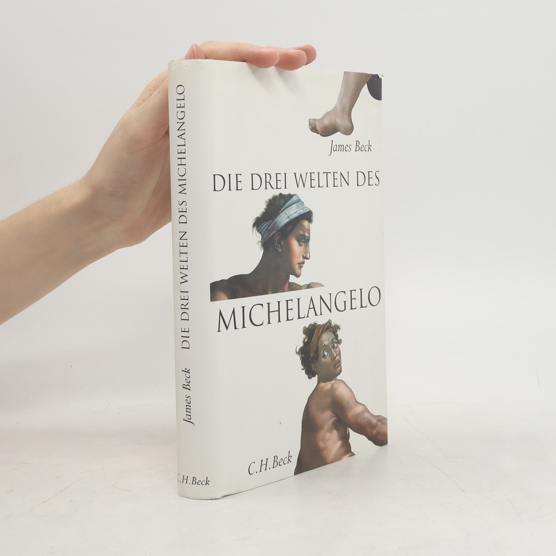 James H. Beck Die drei Welten des Michelangelo