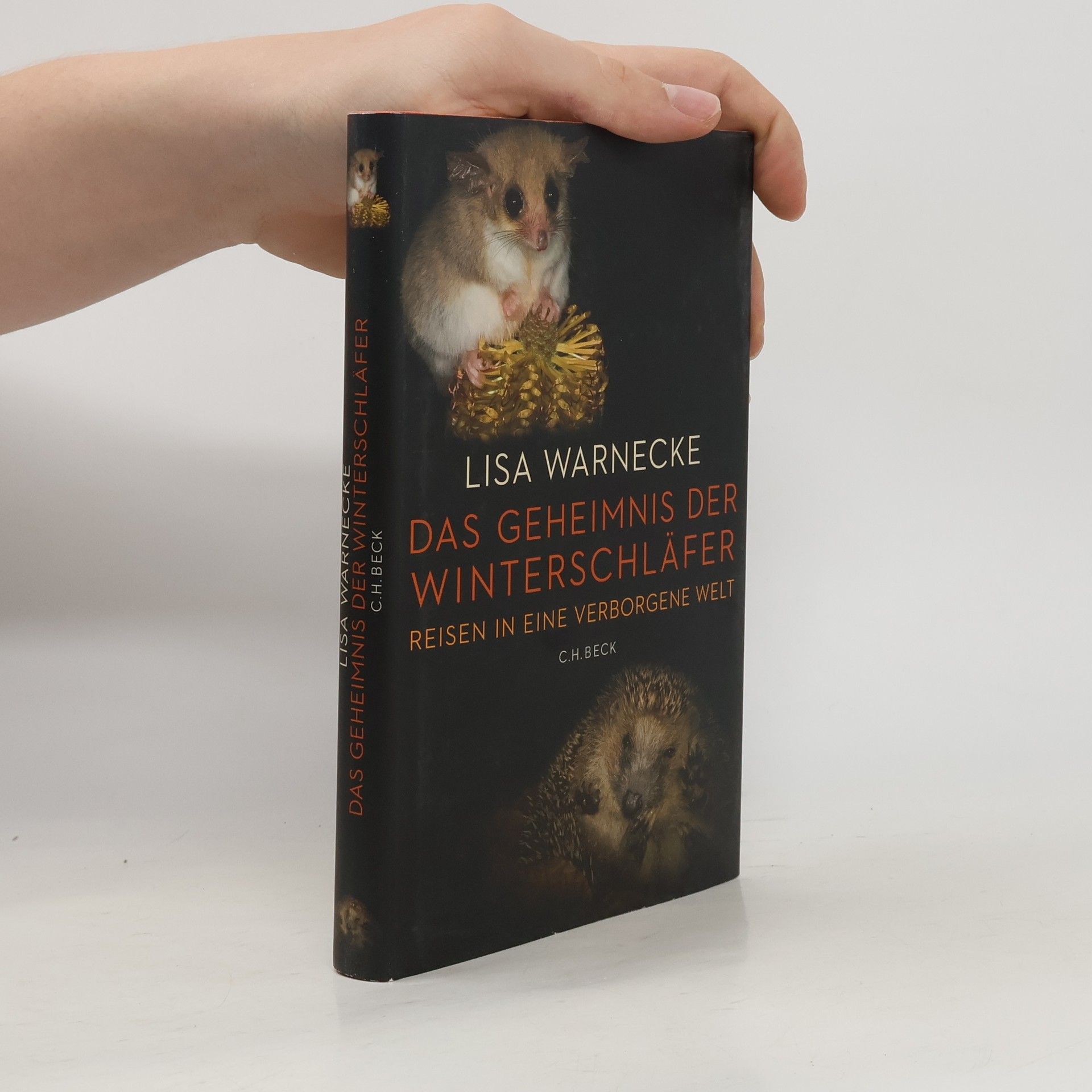 Lisa Warnecke Das Geheimnis der Winterschläfer