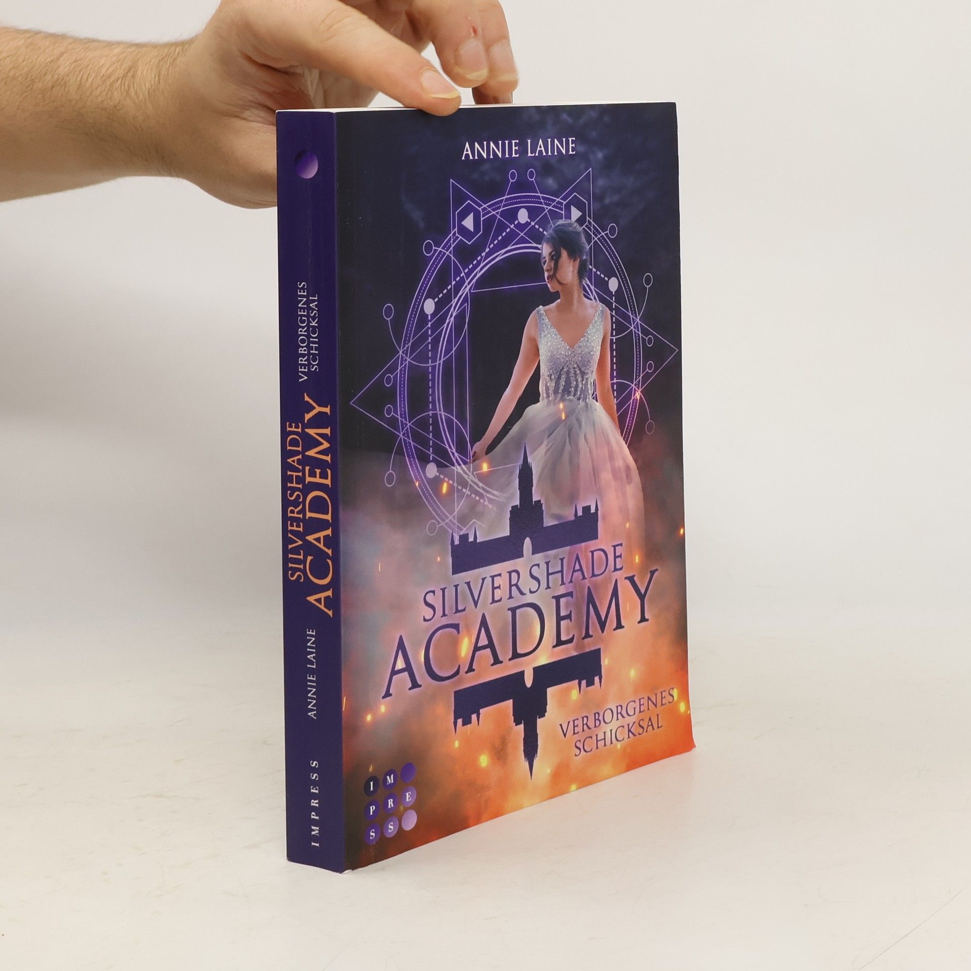 Annie Laine Silvershade Academy 1: Verborgenes Schicksal