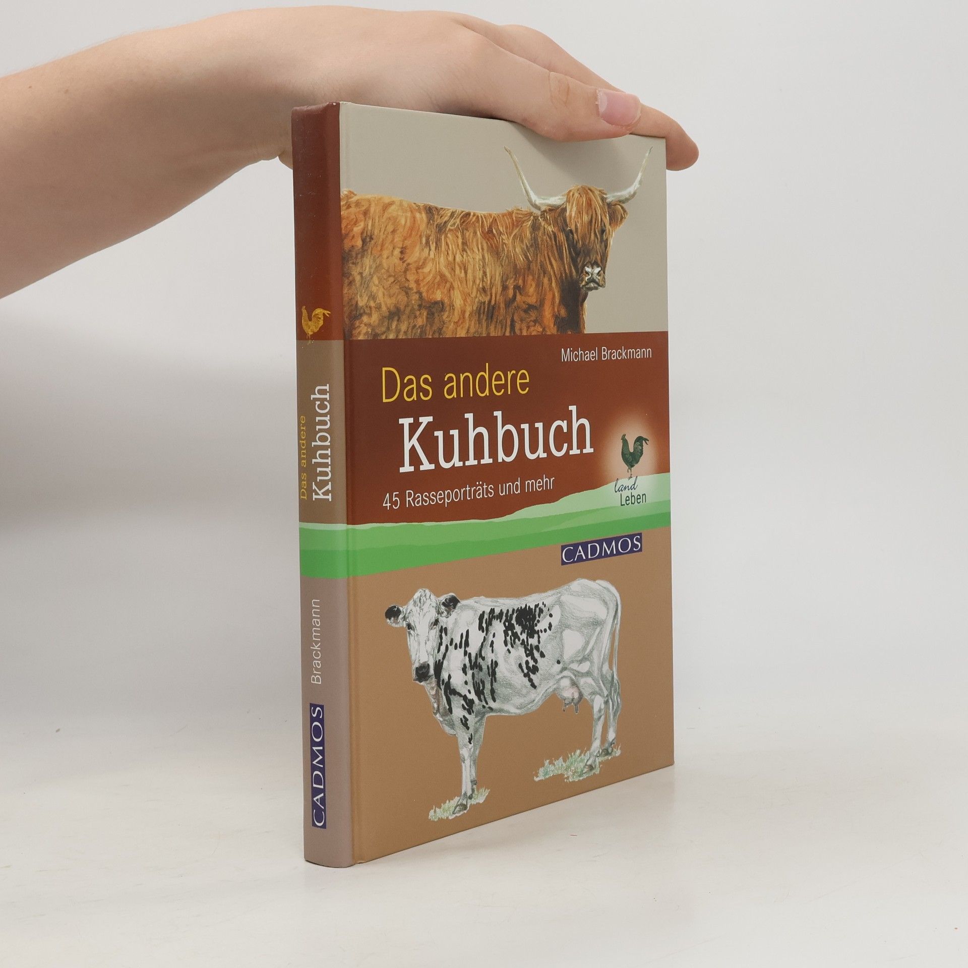 Michael Brackmann Das andere Kuhbuch