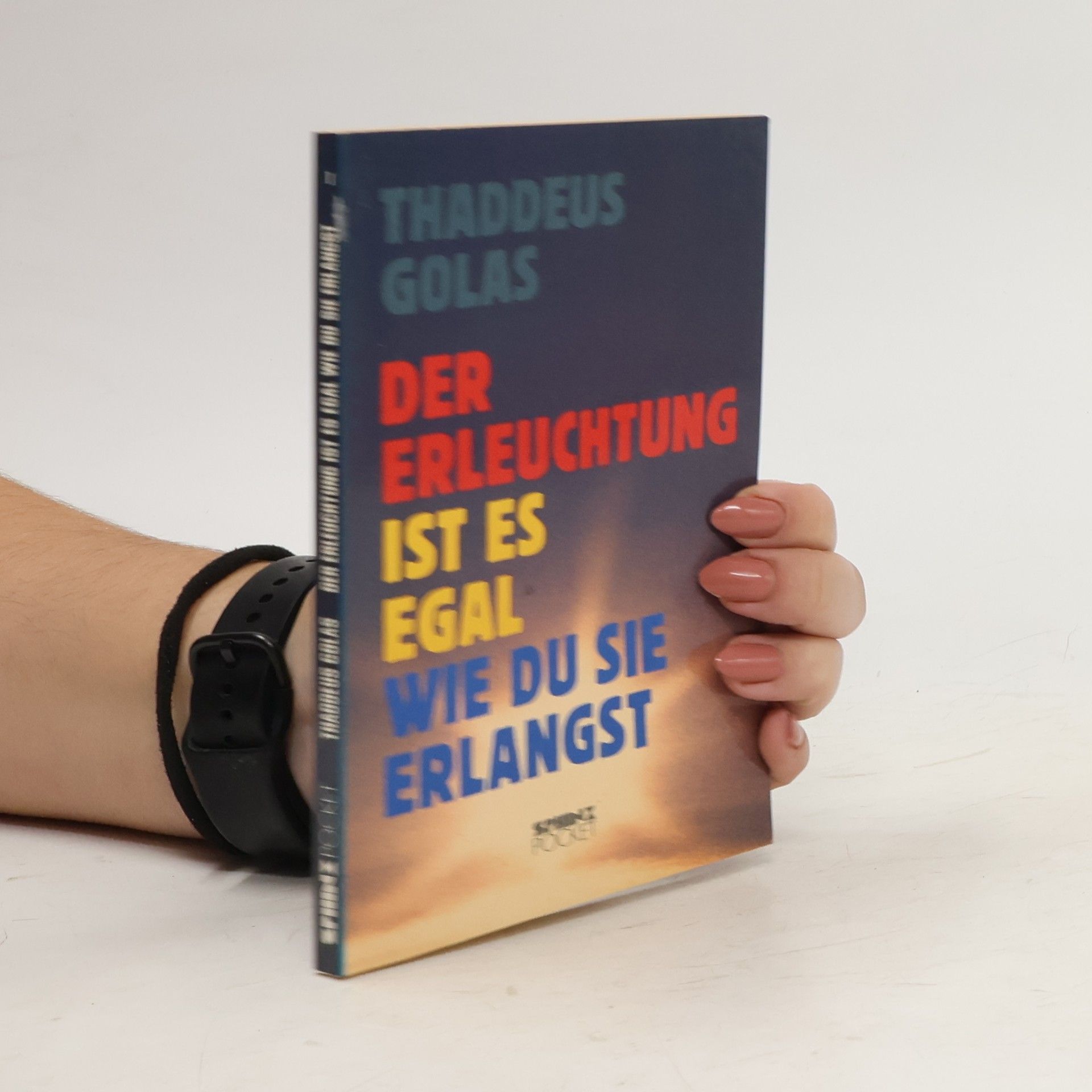 Thaddeus Golas Der Erleuchtung ist es egal, wie du sie erlangst