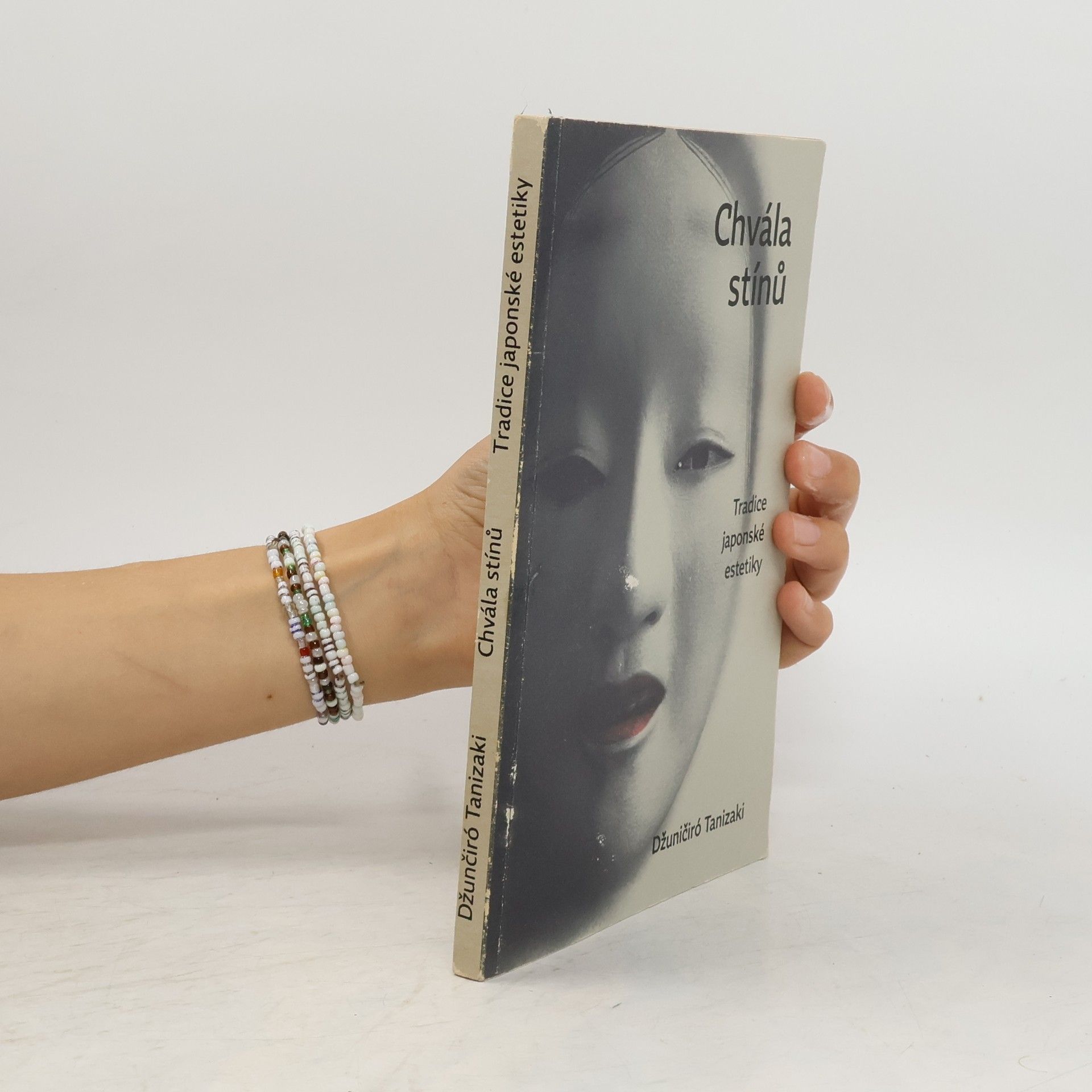 Džuničiró Tanizaki Chvála stínů