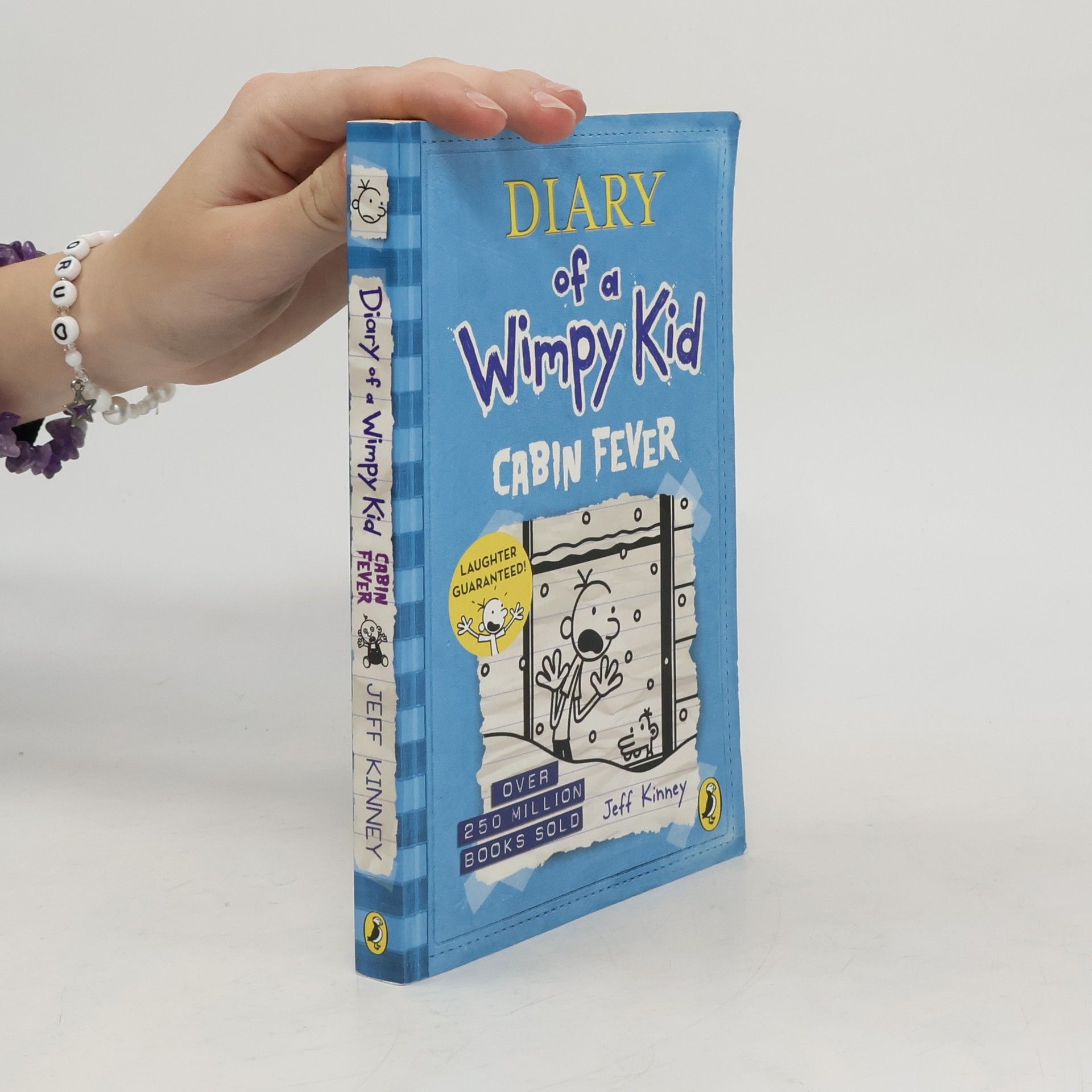 Jeff Kinney Diary of a Wimpy Kid. Cabin Fever