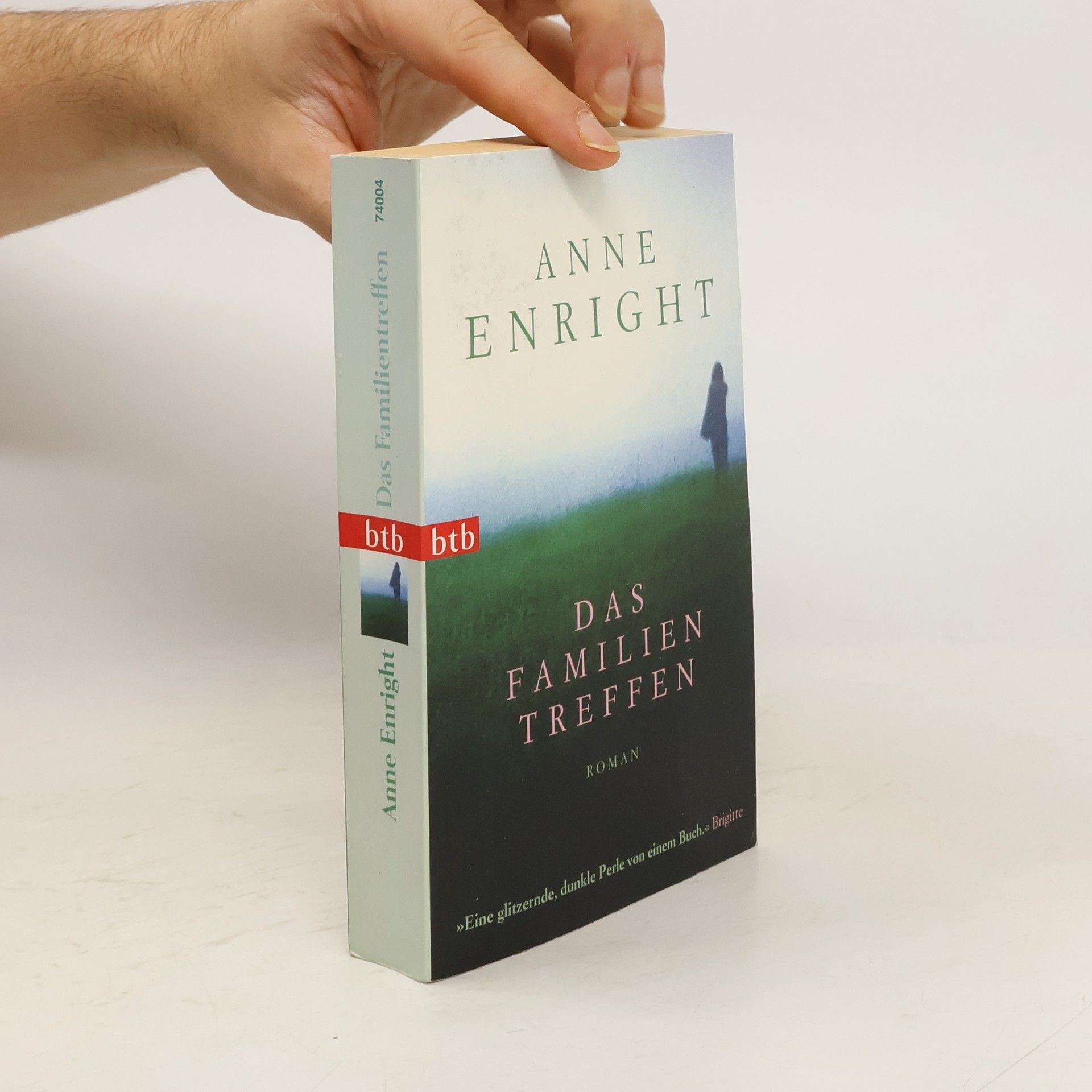 Anne Enright Das Familien Treffen