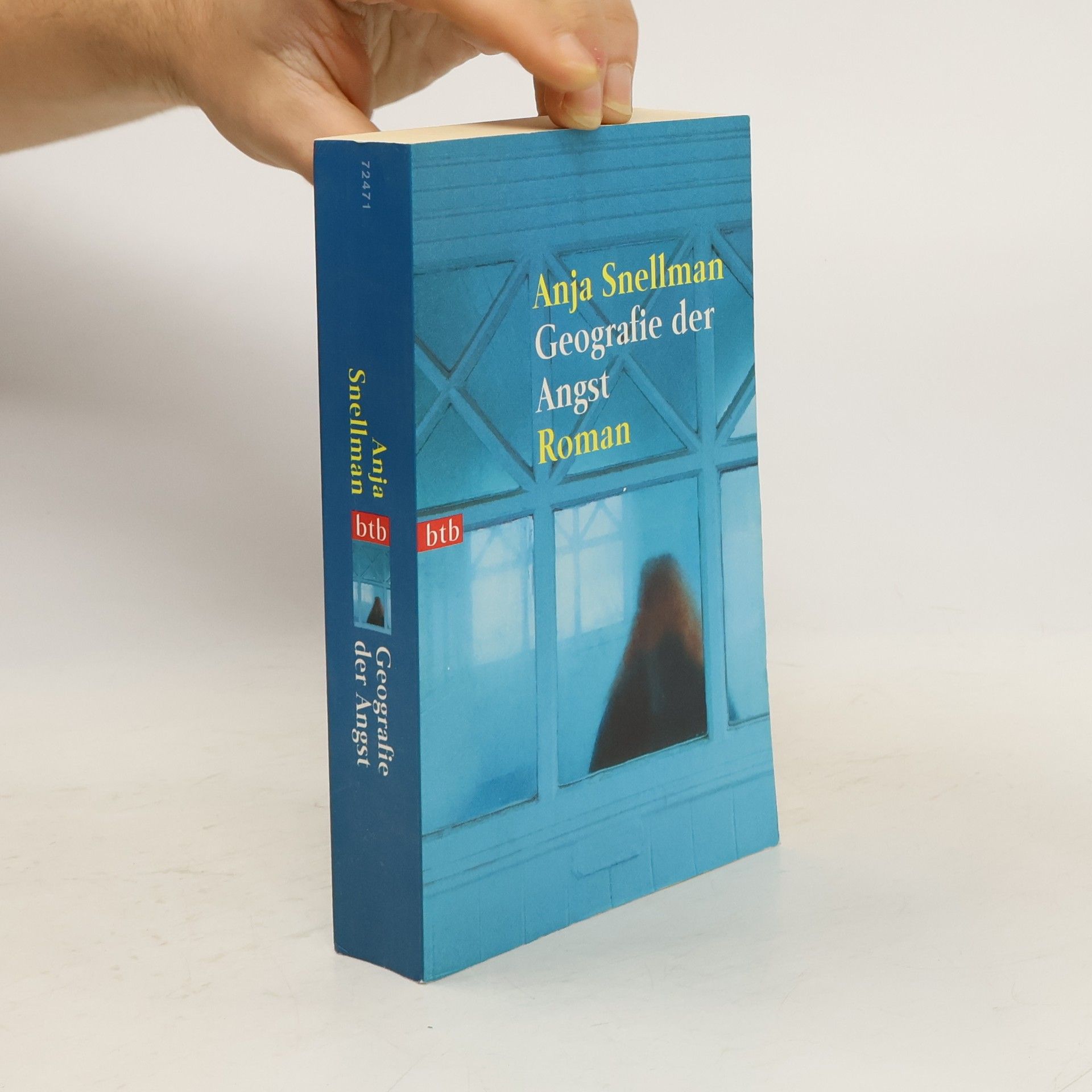 Anja Snellman Geografie der Angst