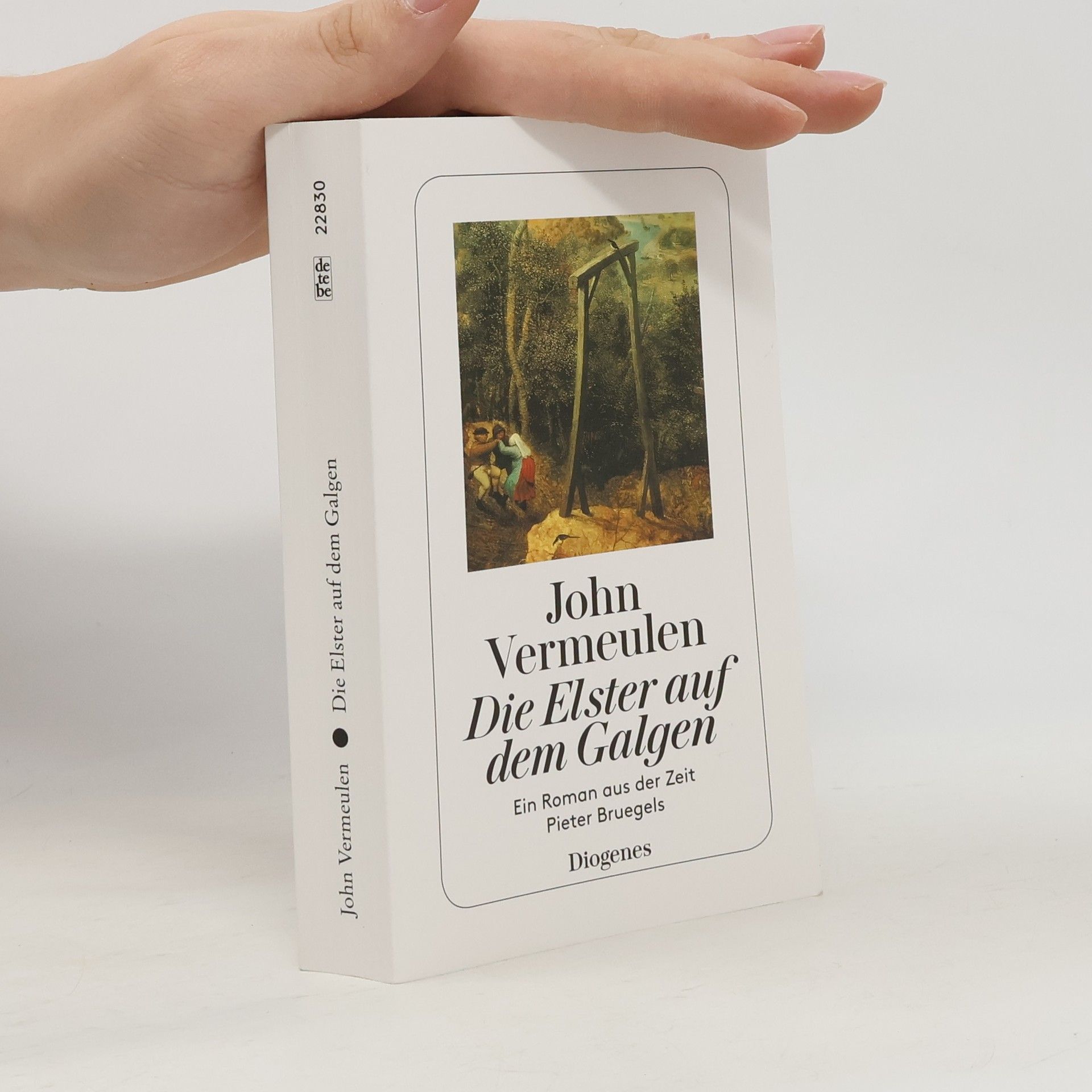 John Vermeulen Die Elster auf dem Galgen